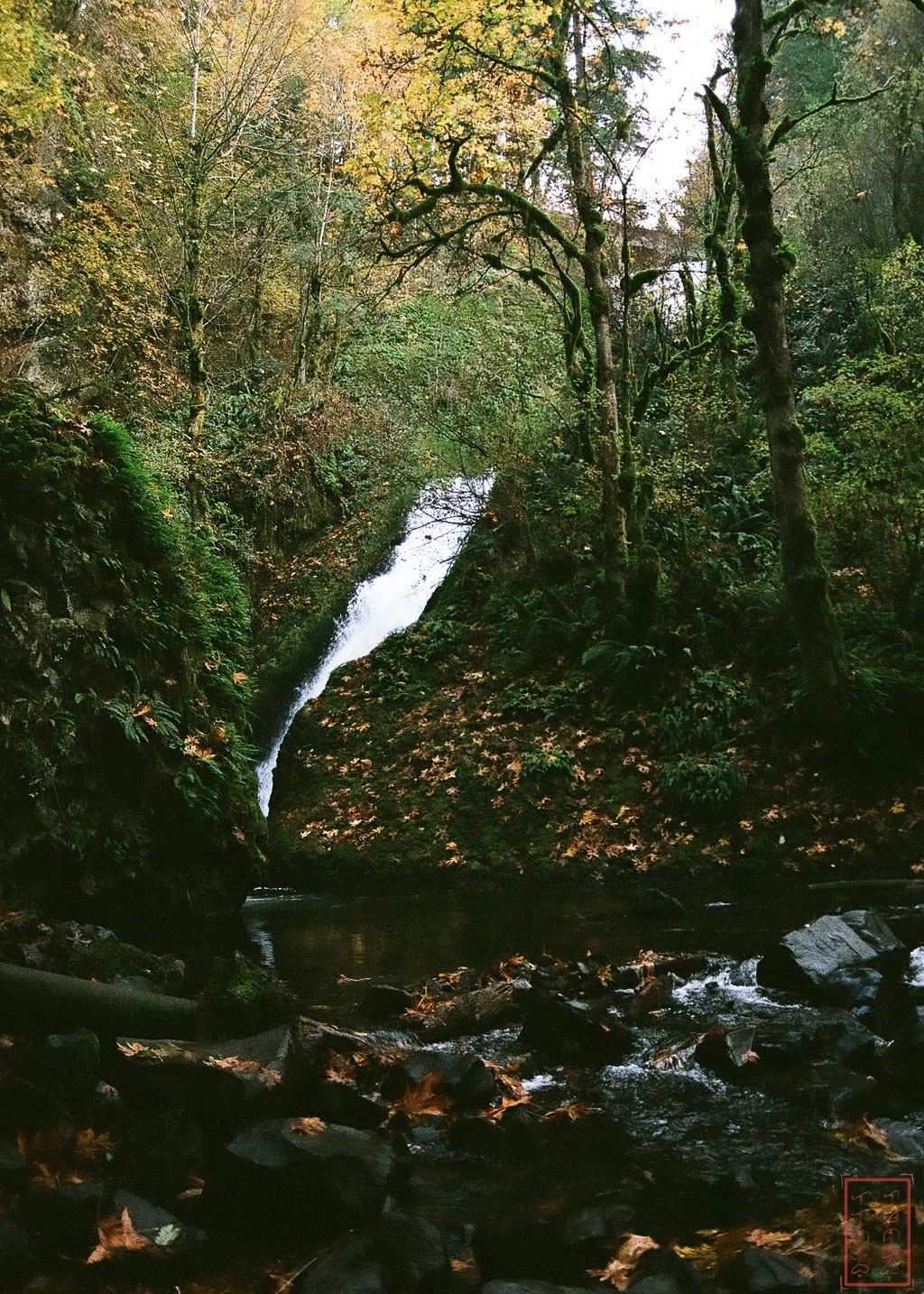 OR: Bridal Veil Falls