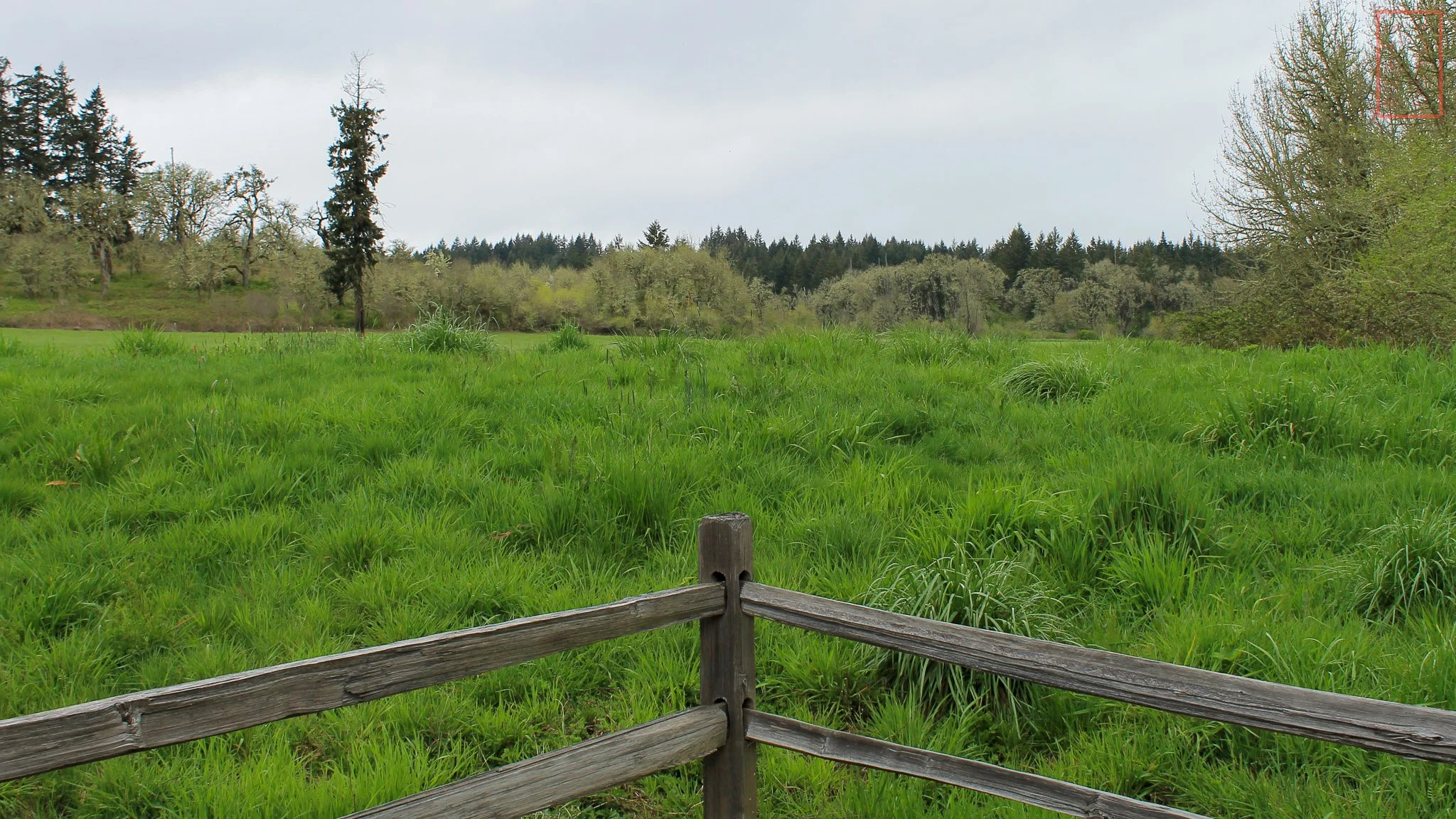 OR: William L. Finley National Wildlife Refuge