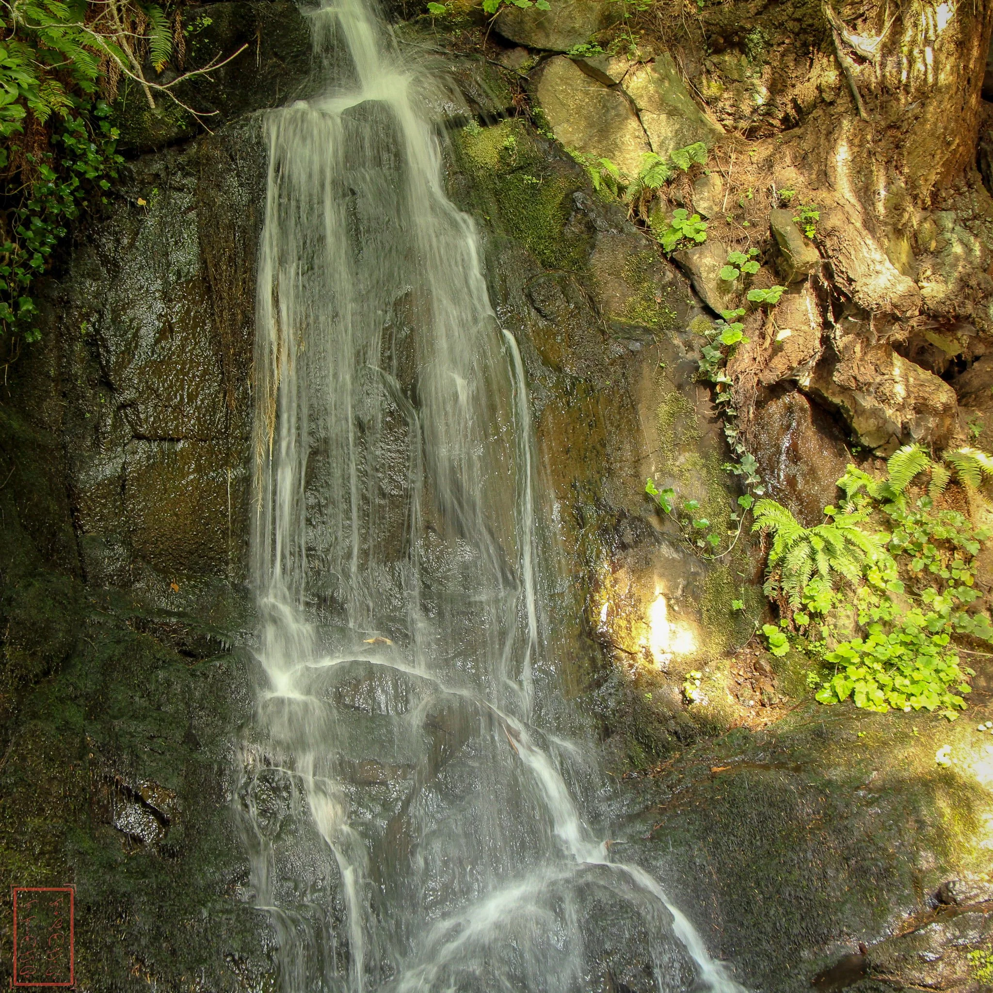 WA: Tumwater Falls