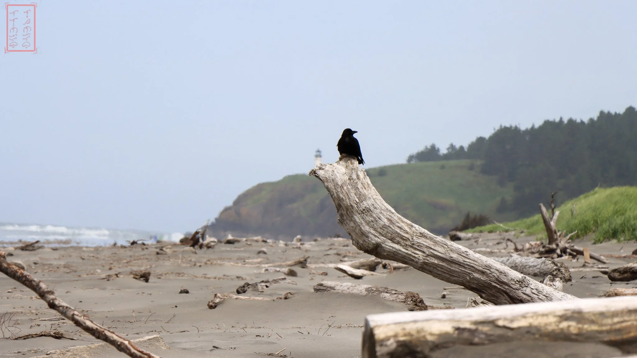 WA: Cape Disappointment