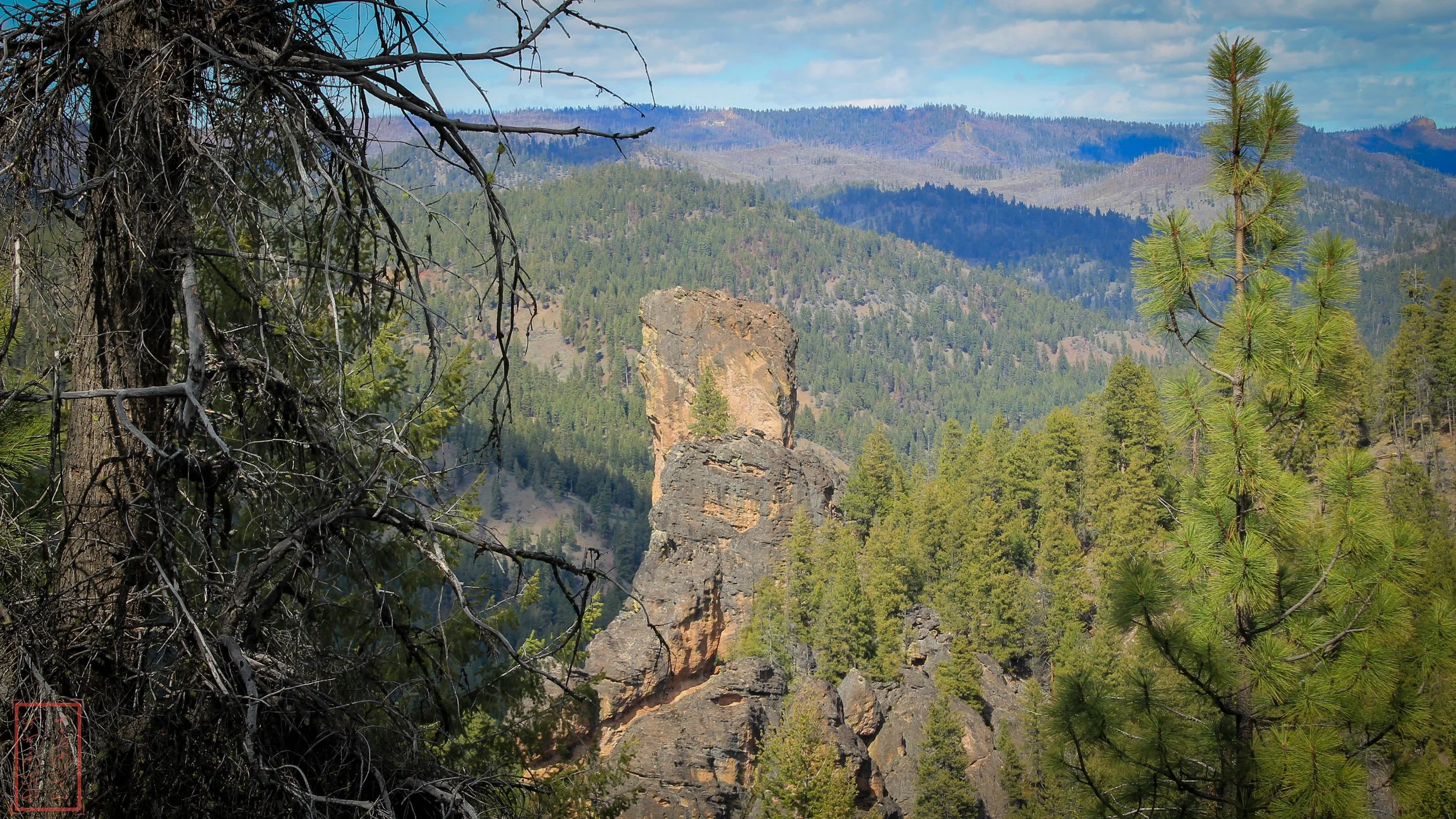 Blue Mountains