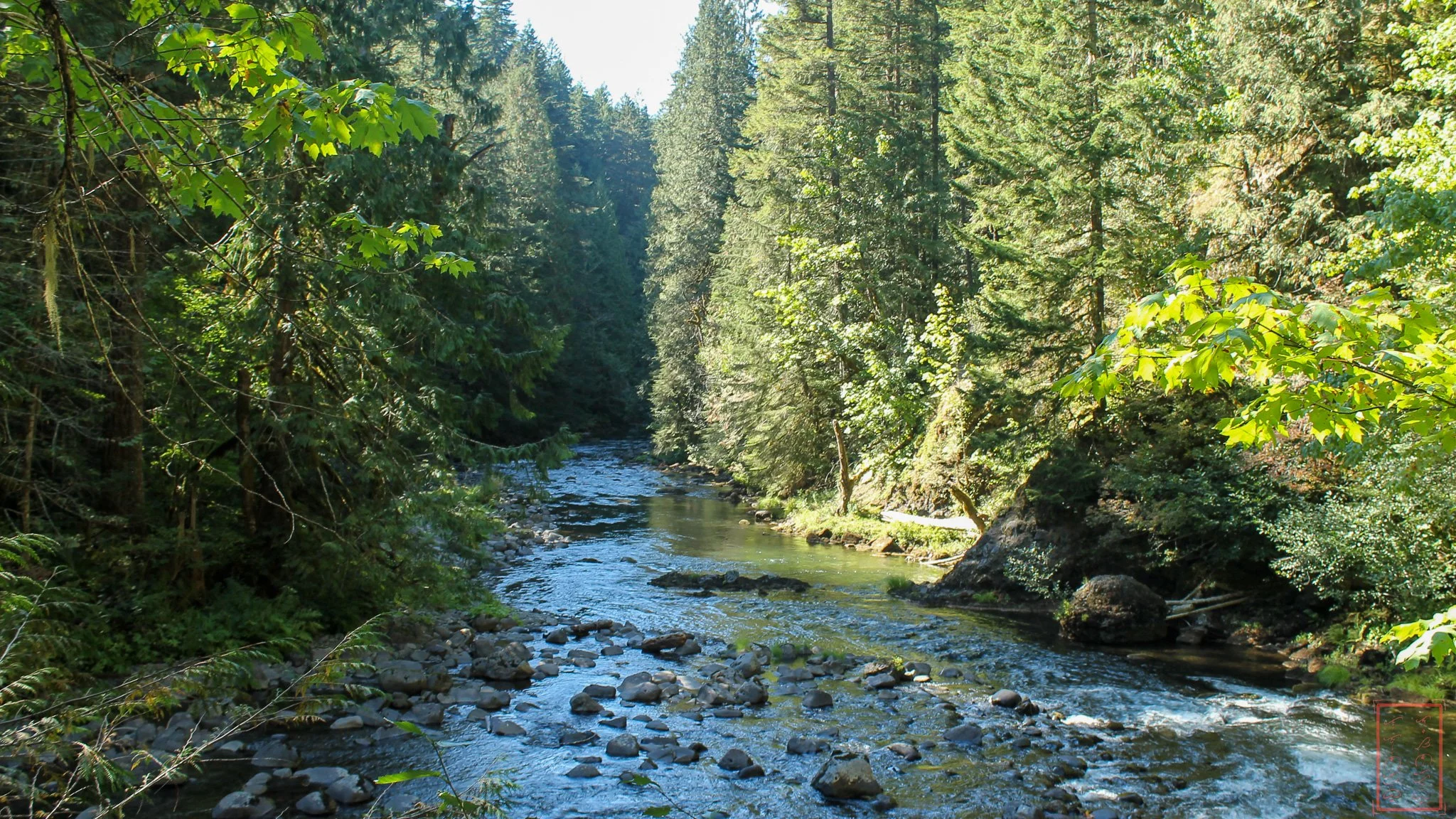OR: Salmon-Huckleberry Wilderness