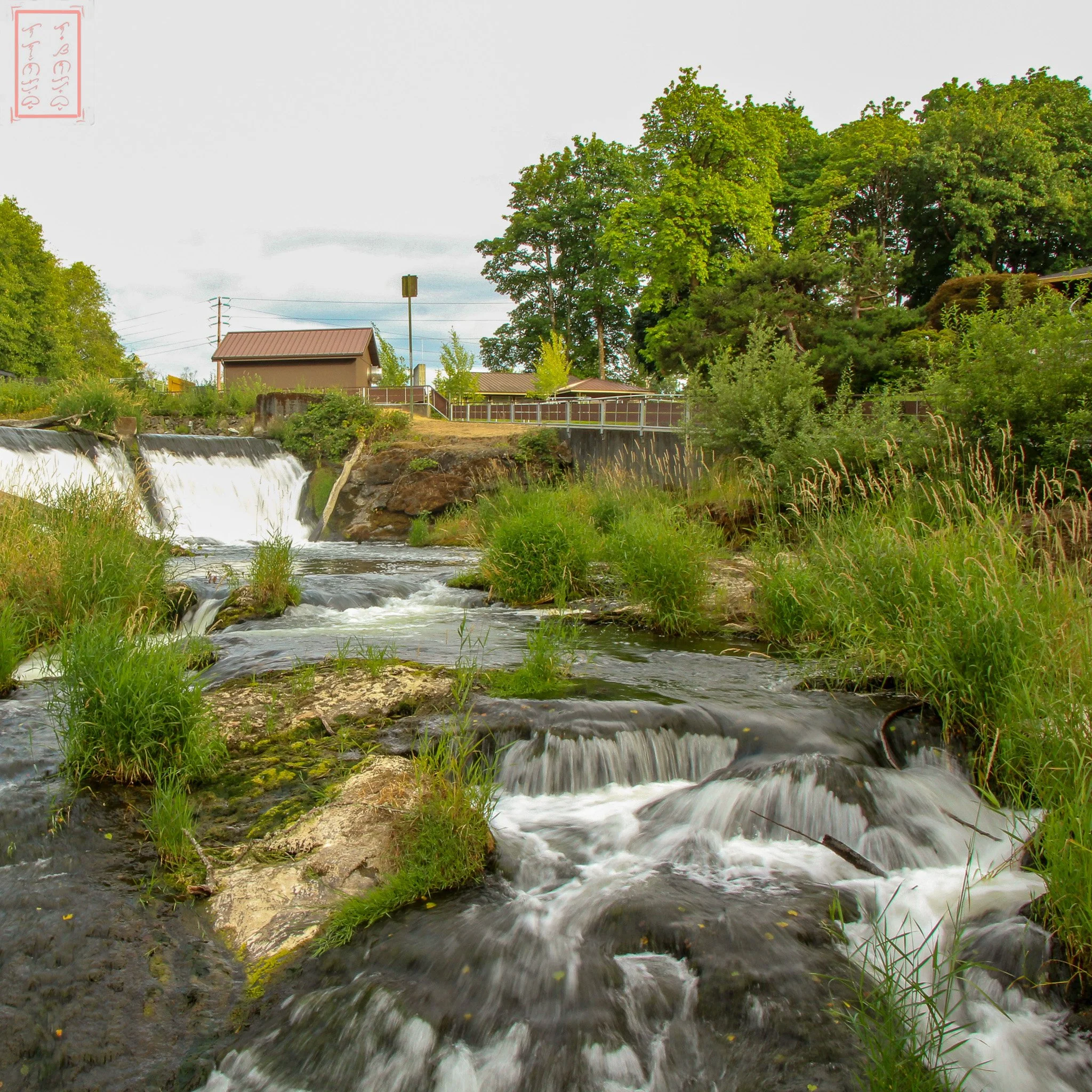 WA: Tumwater Falls