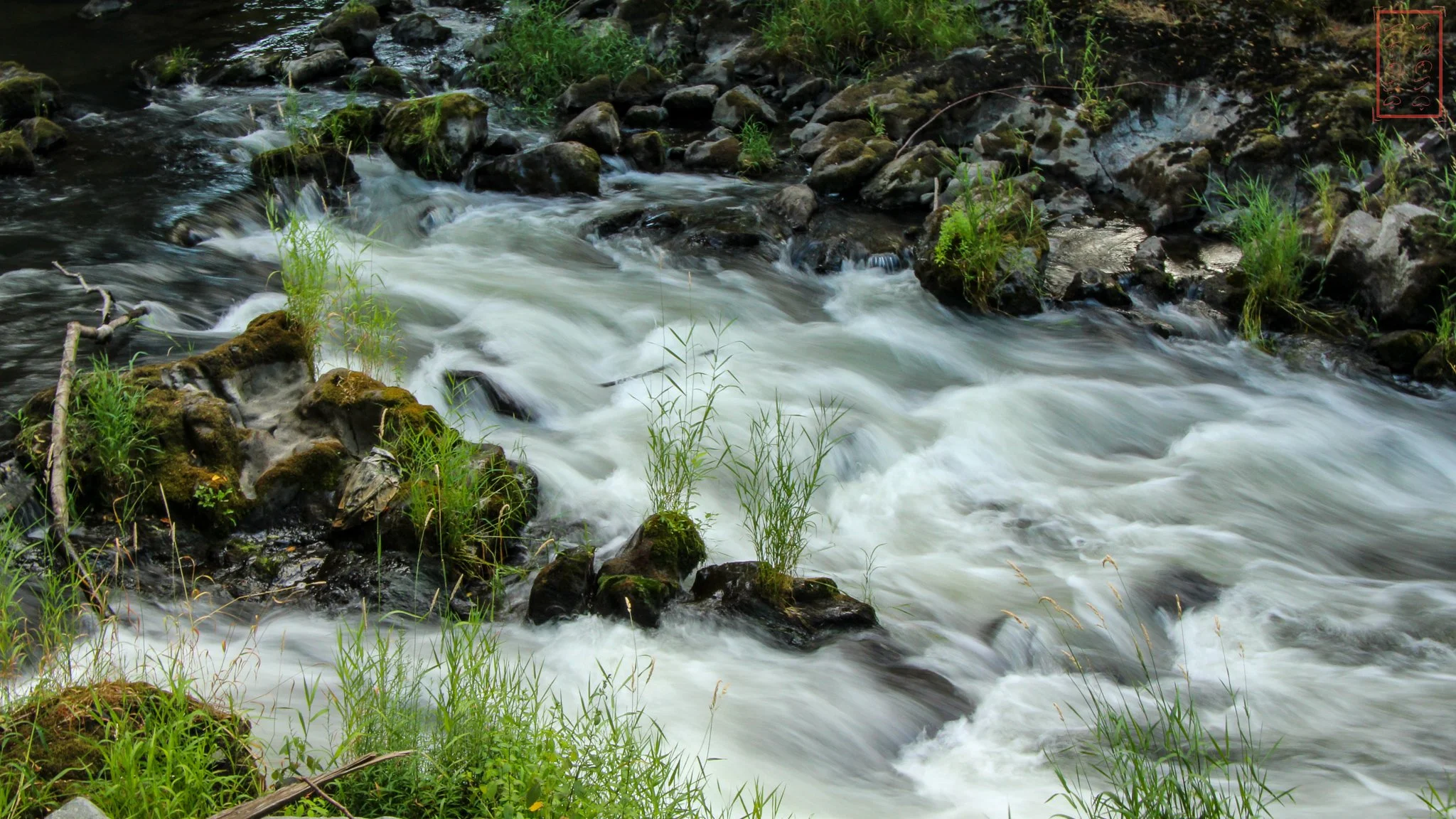 WA: Tumwater Falls