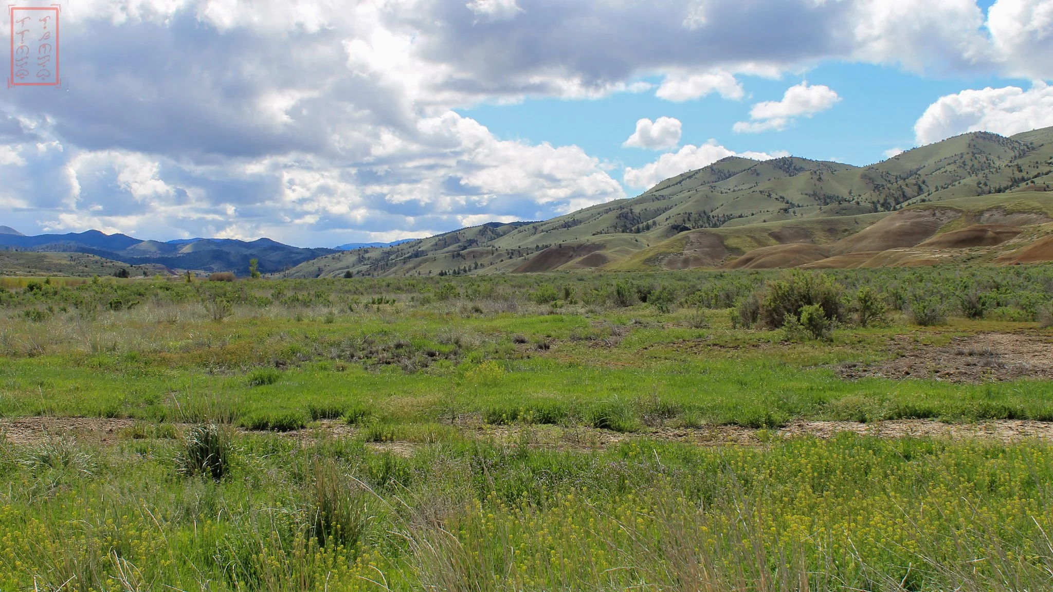 OR: Painted Hills