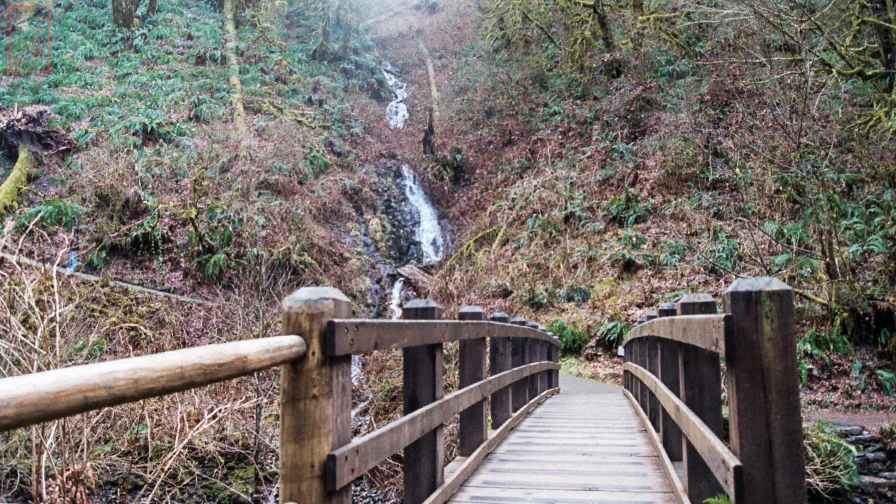 OR: Silver Falls
