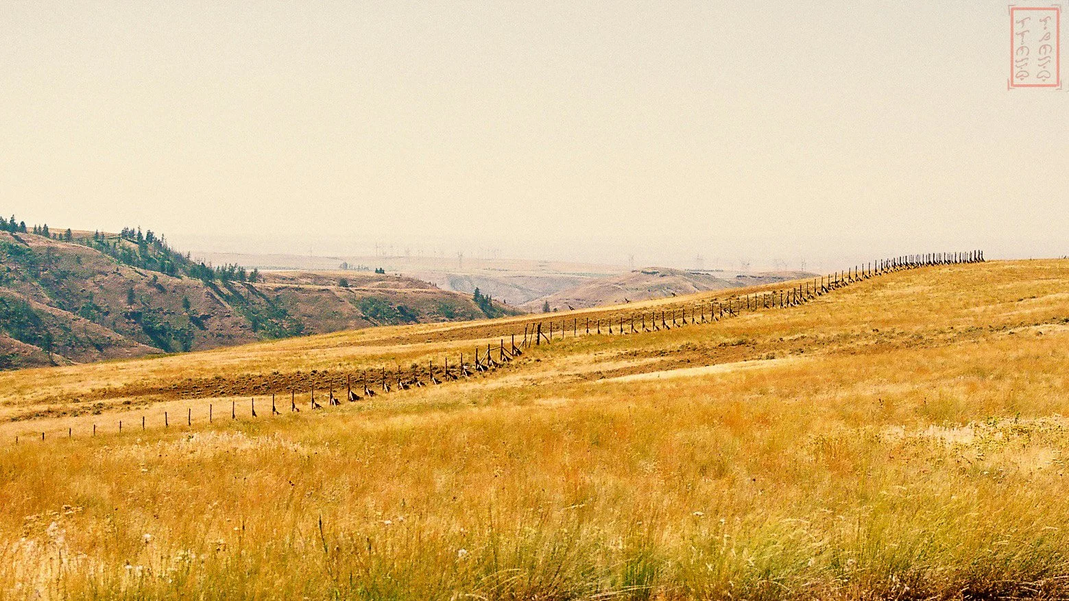 WA: Garfield County