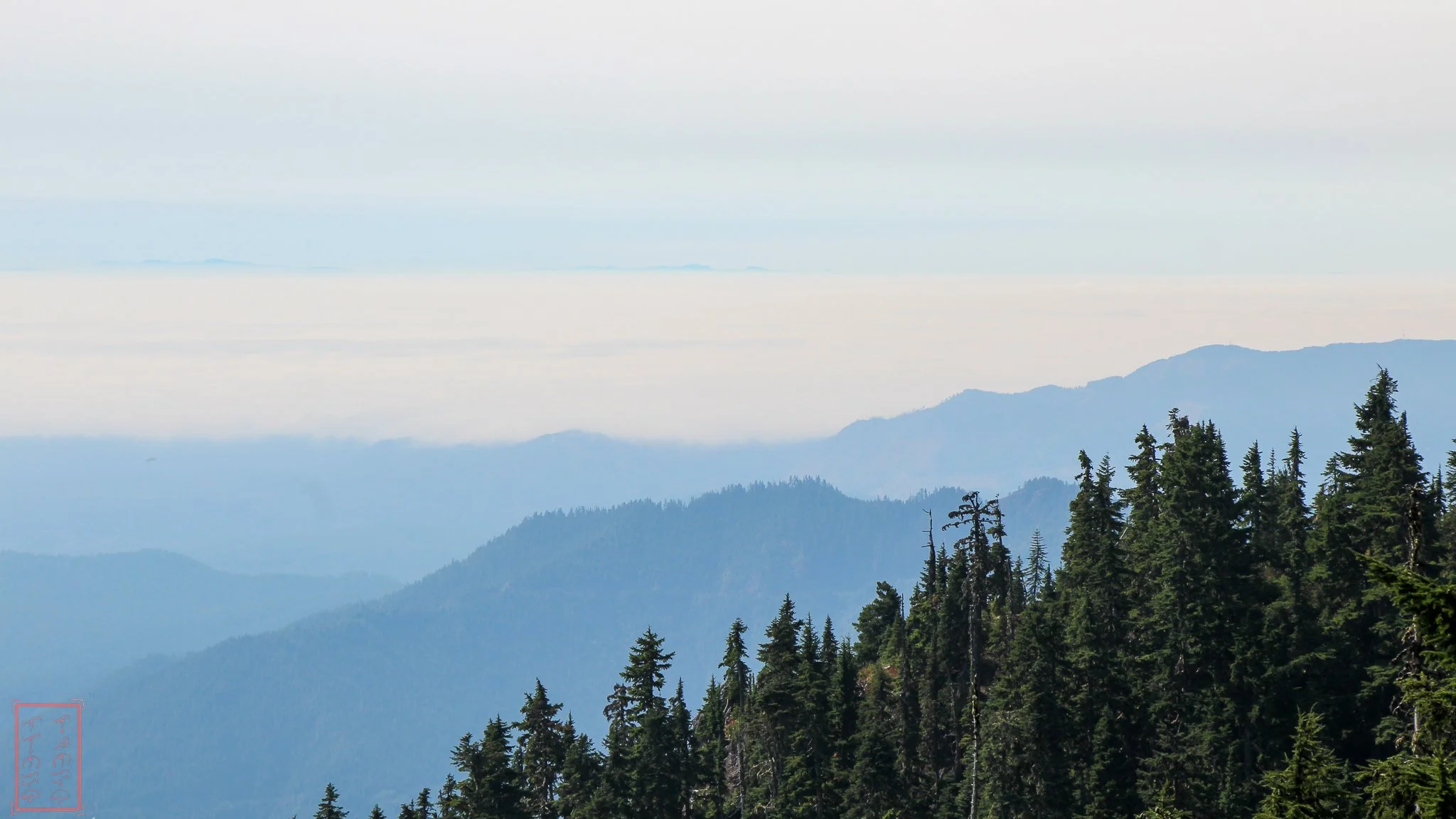 WA: Mount Ellinor