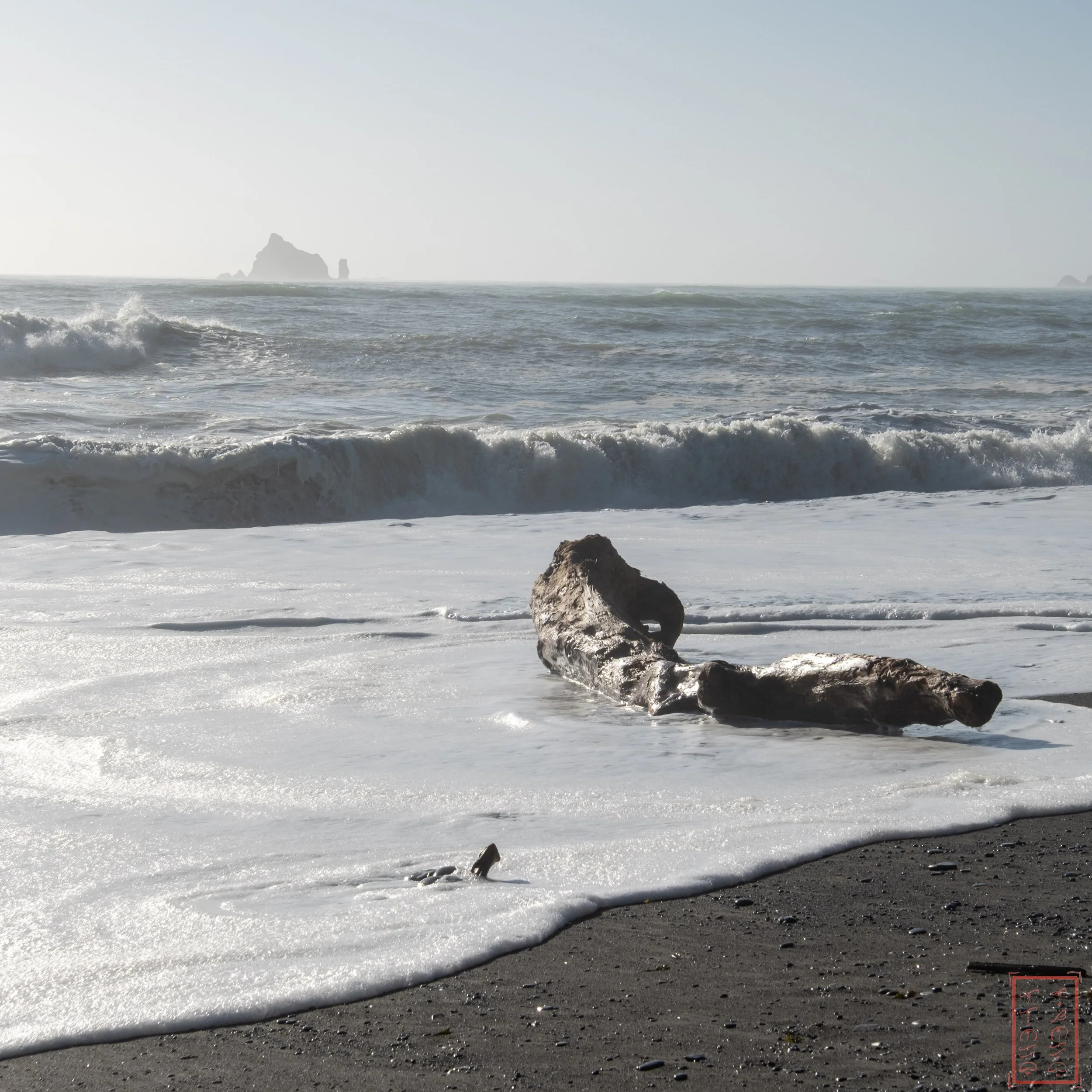 WA: Rialto Beach