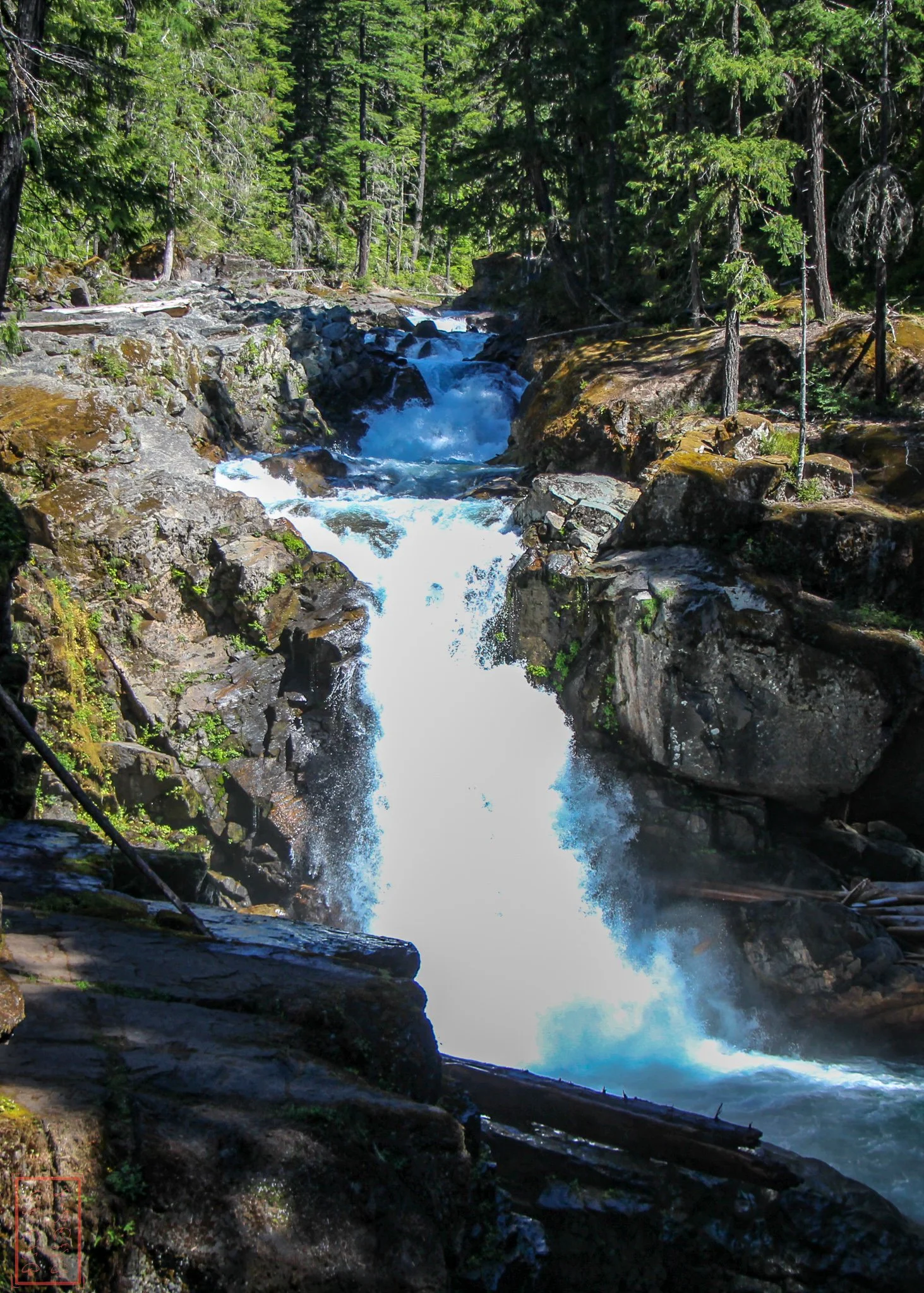 WA: Silver Falls