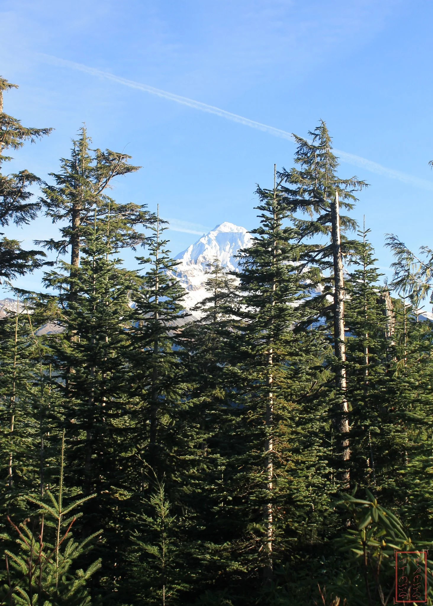 OR: Pacific Crest Trail 200