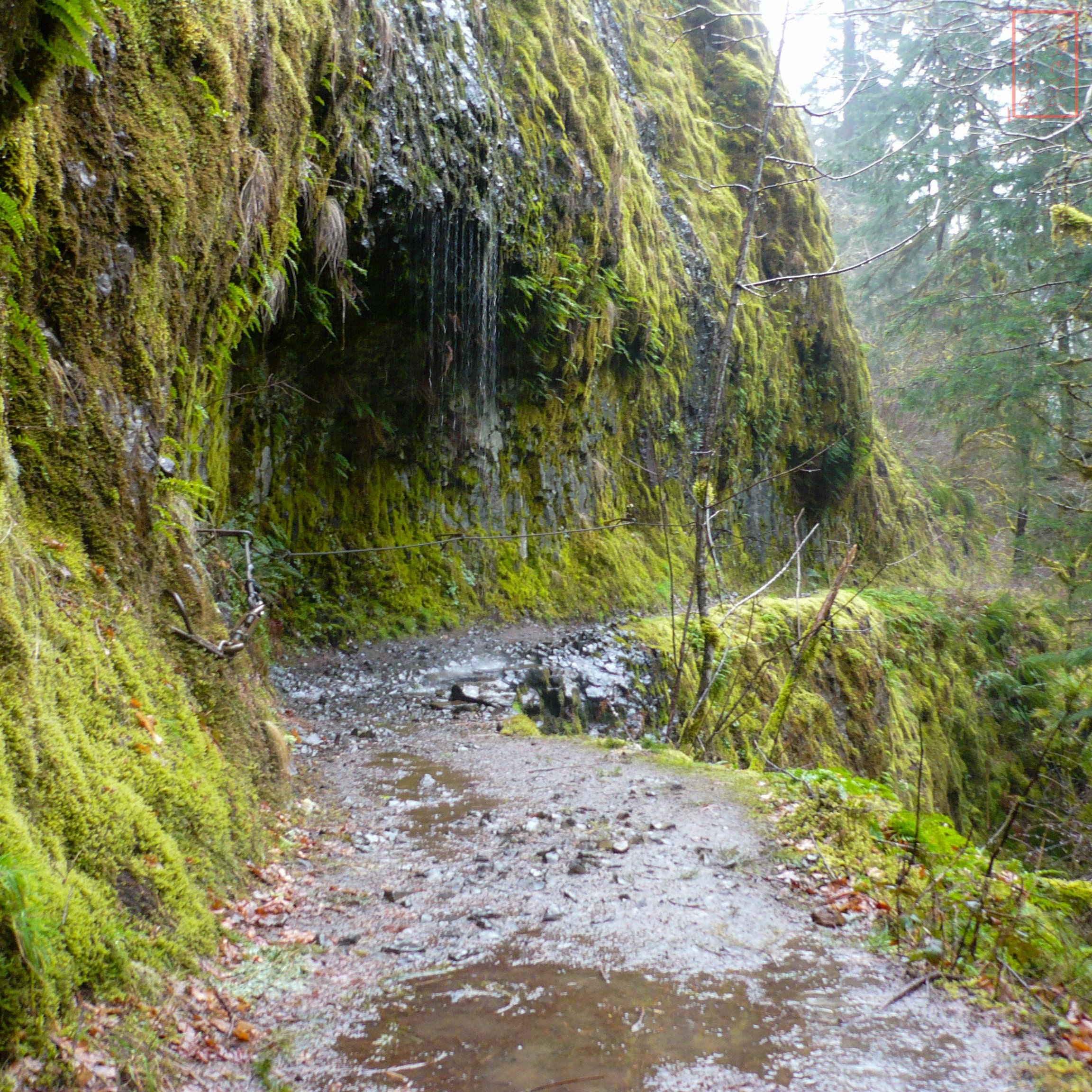 OR: Eagle Creek