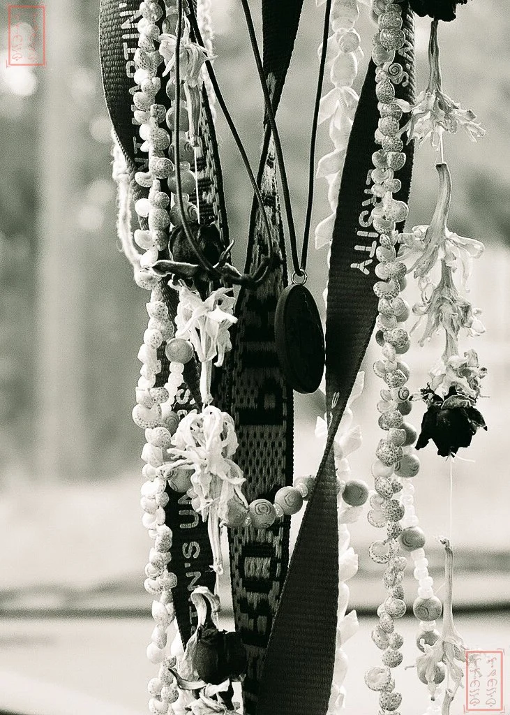 Nikon_5x7_Spokane-1.jpg