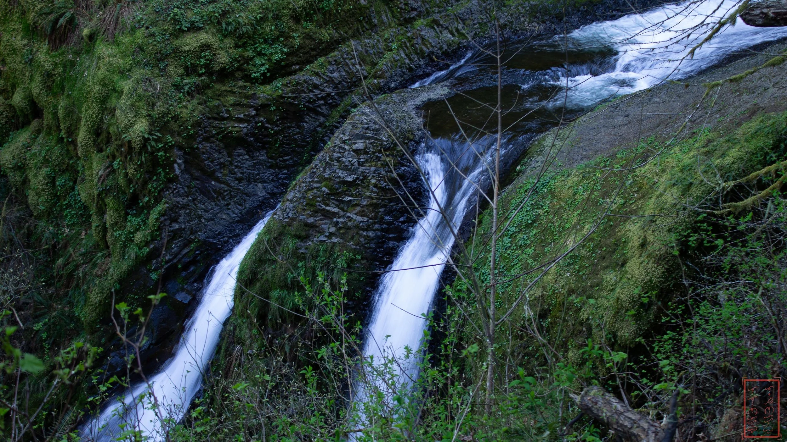 OR: Oneonta Gorge