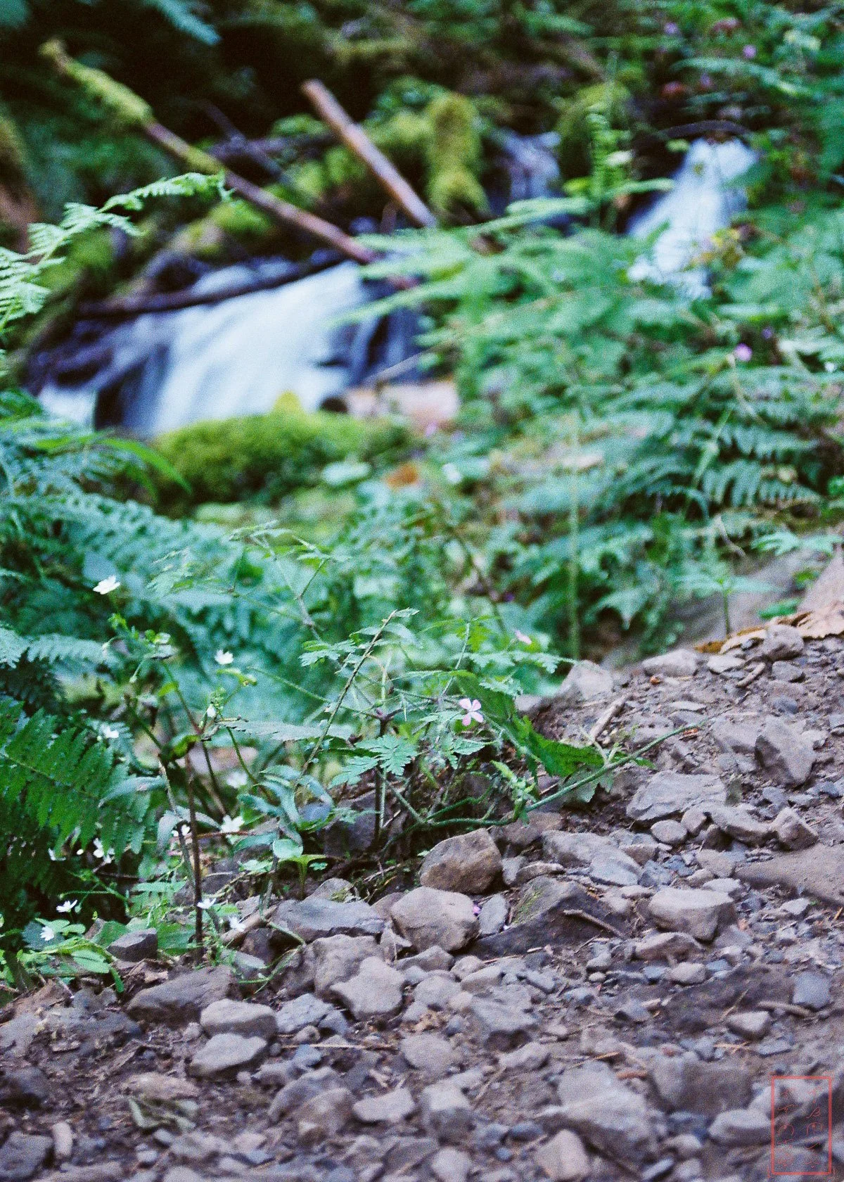 OR: Wahkeena Falls to Multnomah Falls