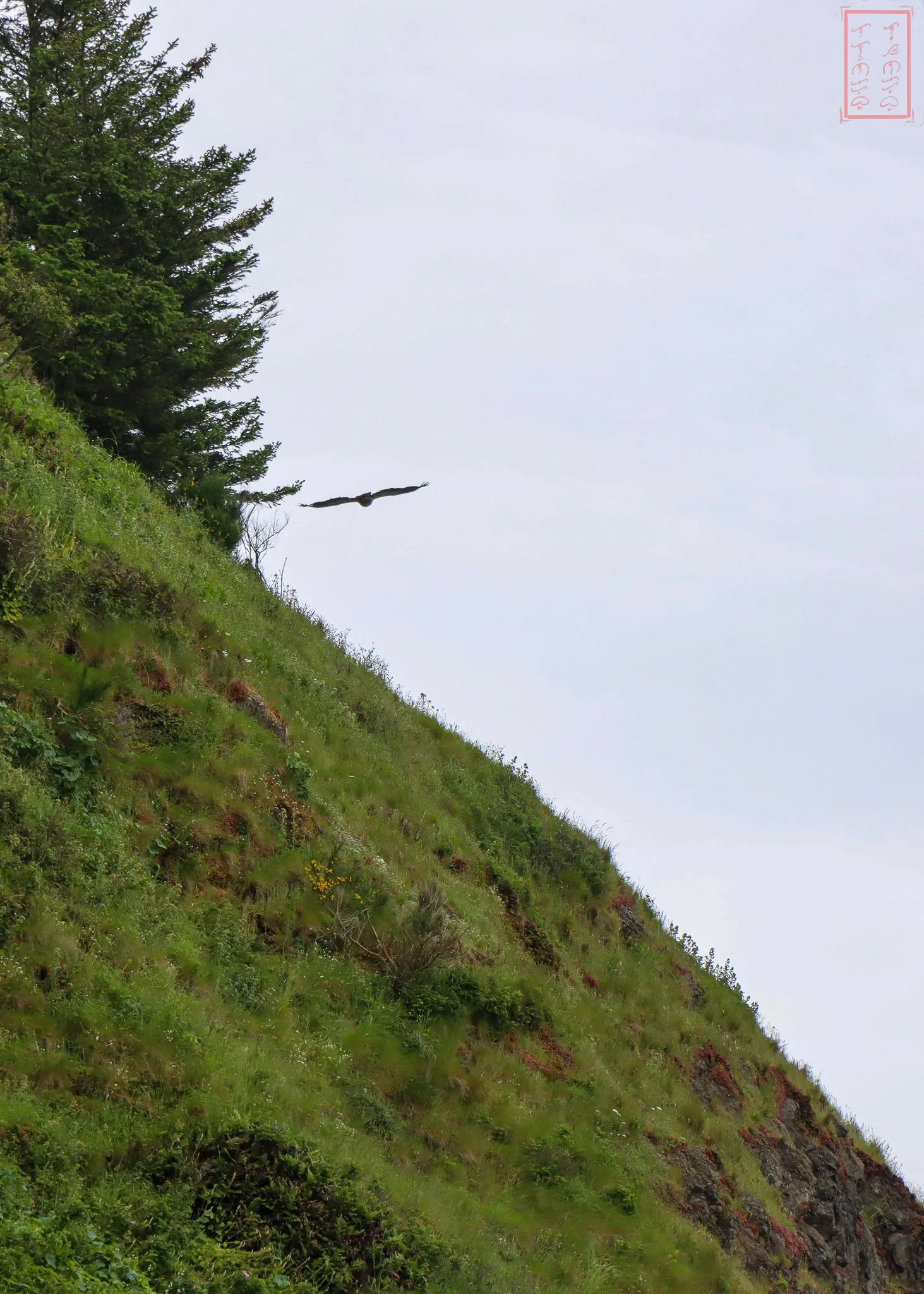 WA: Cape Disappointment