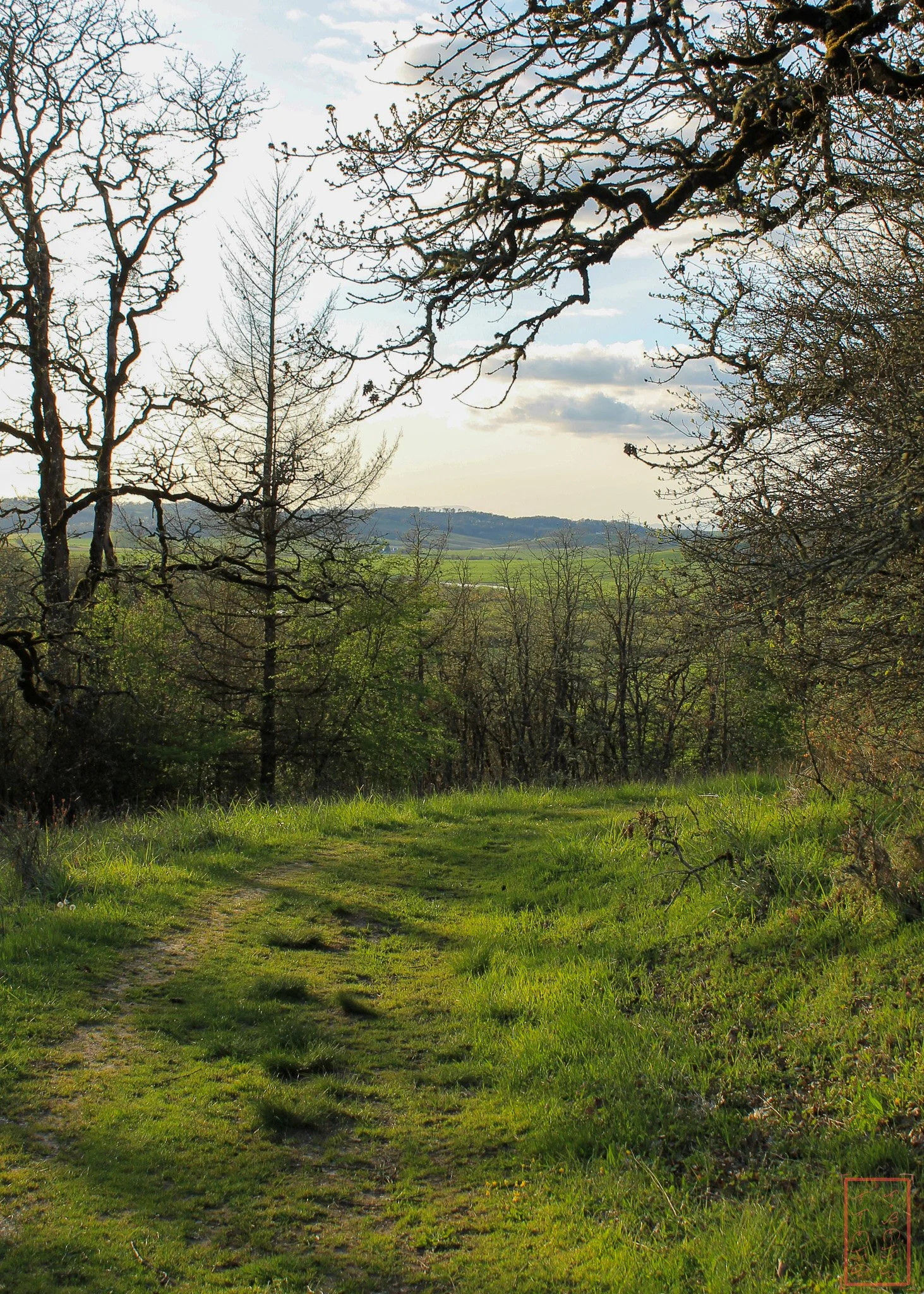 OR: Baskett Slough