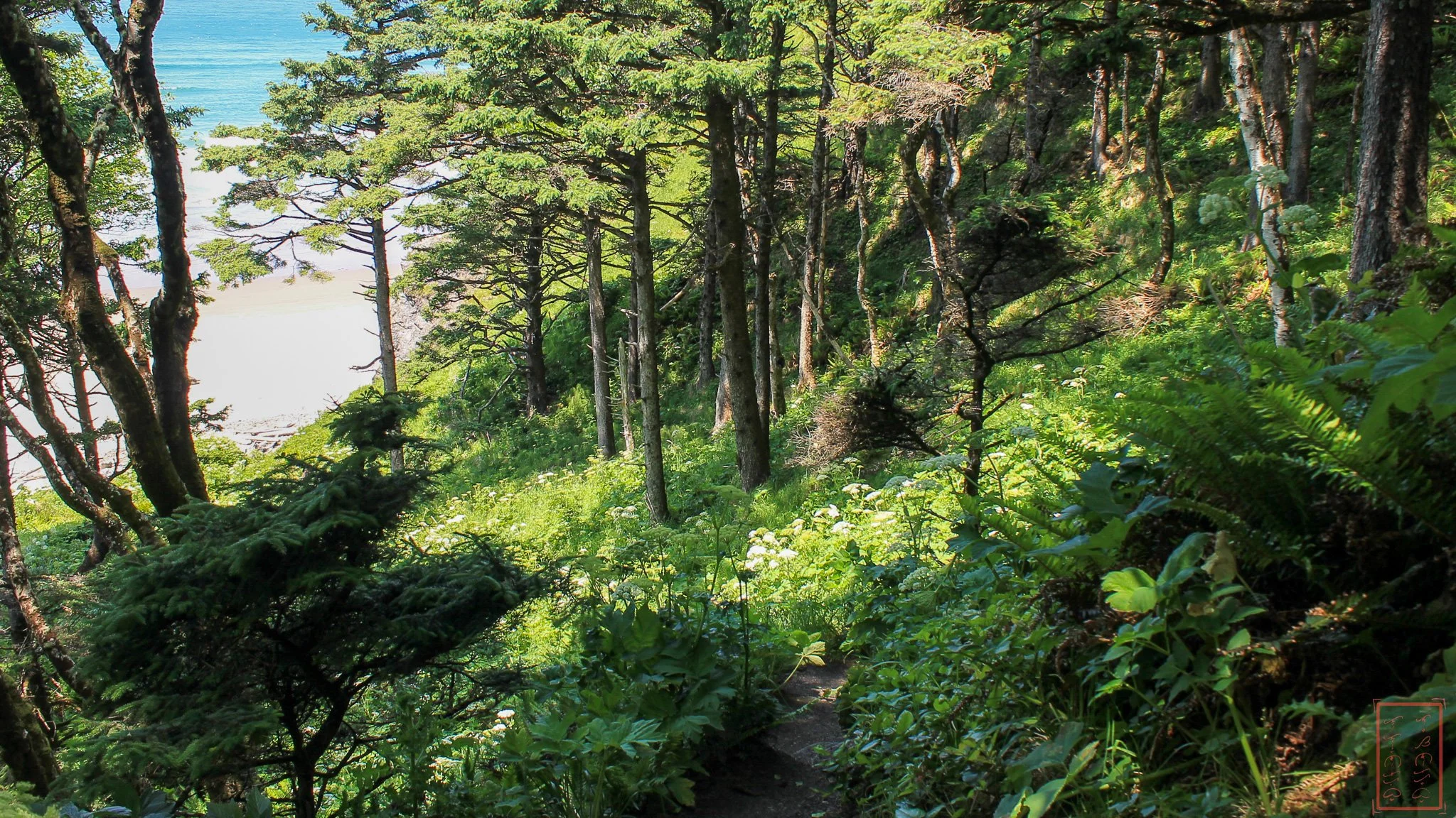 OR: Ecola State Park