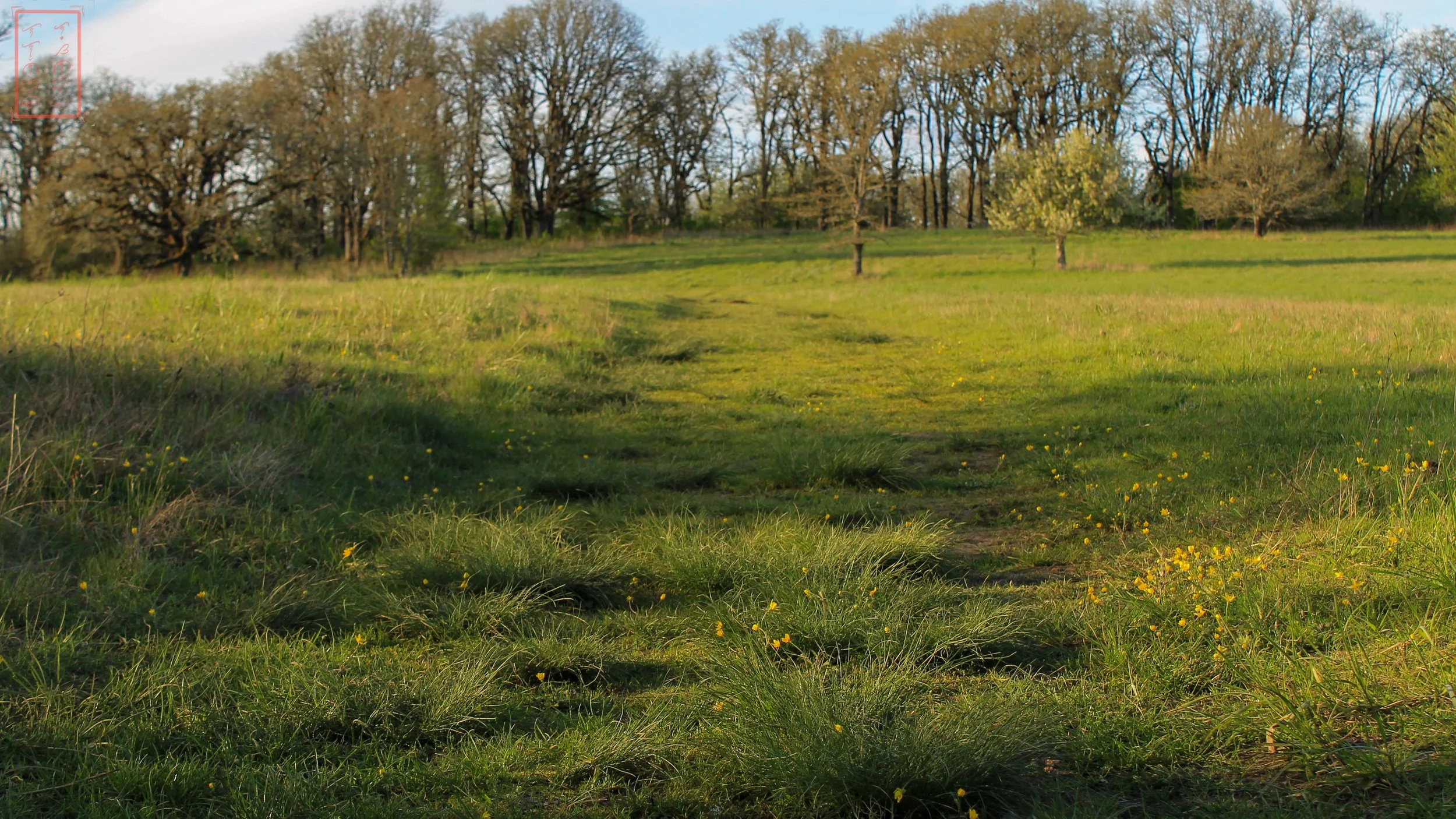 OR: Baskett Slough