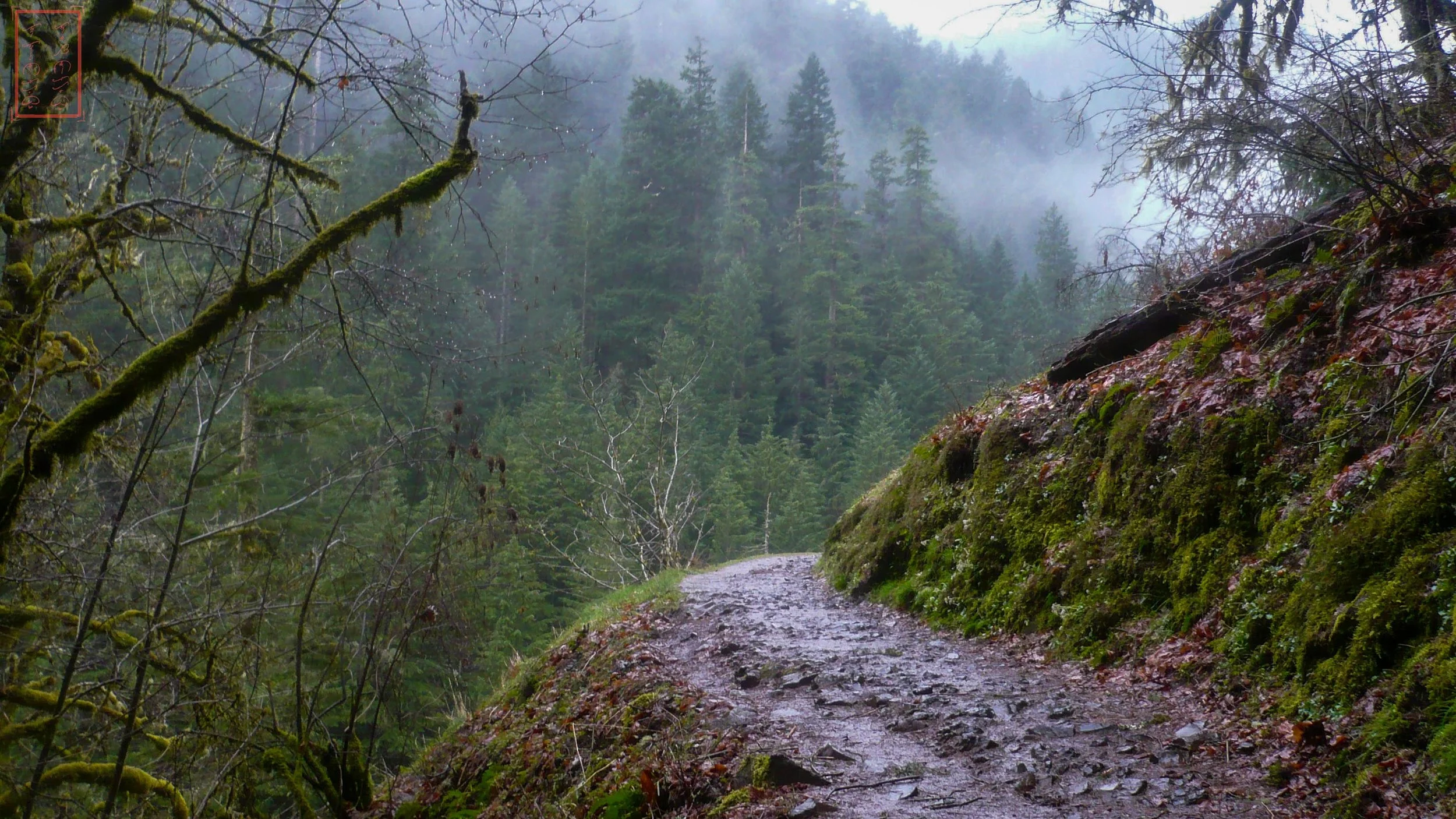 OR: Eagle Creek