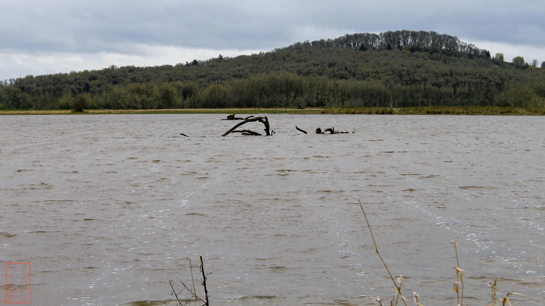 OR: William L. Finley National Wildlife Refuge