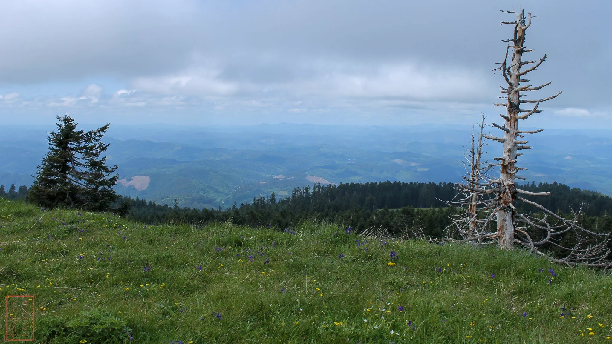 OR: Mary's Peak