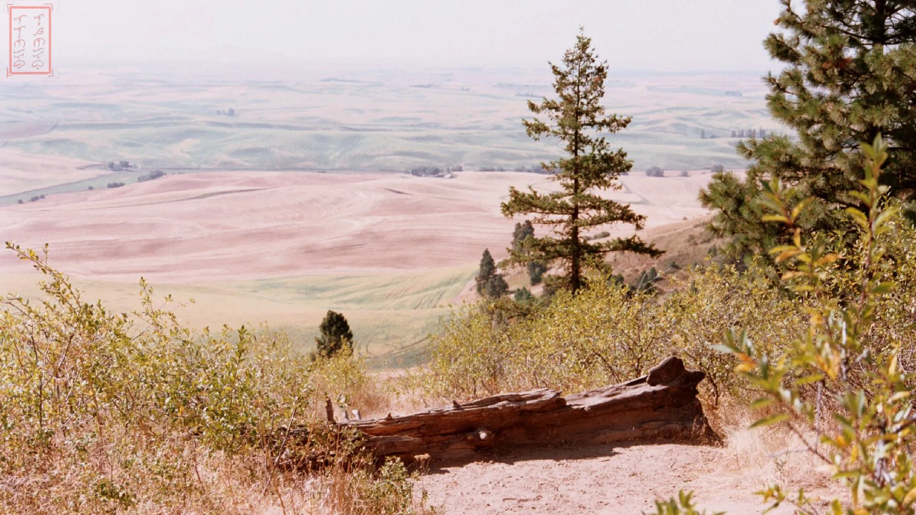 WA:  Kamiak Butte County Park
