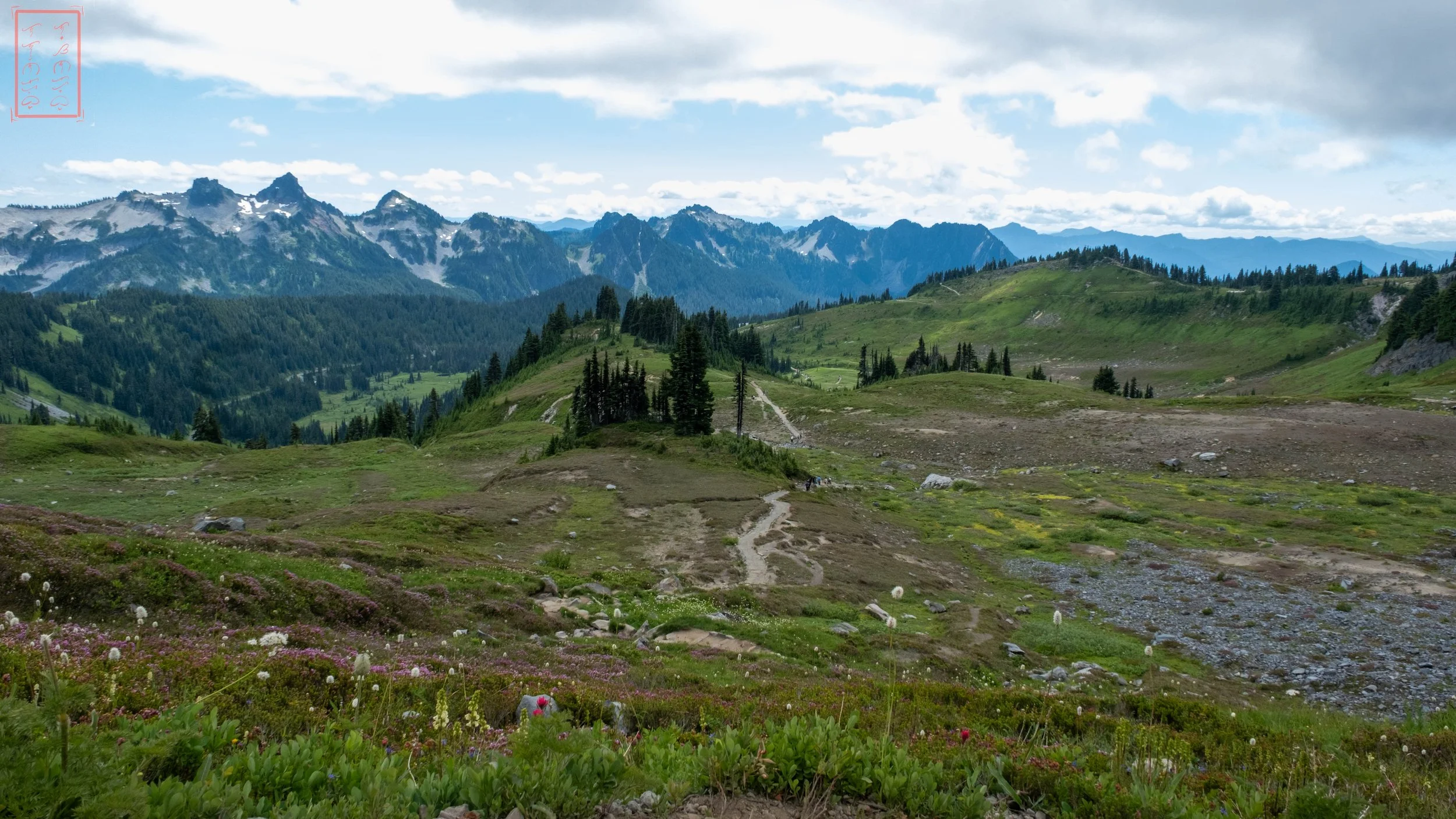 WA: Paradise Meadows and Skyline Trailhead