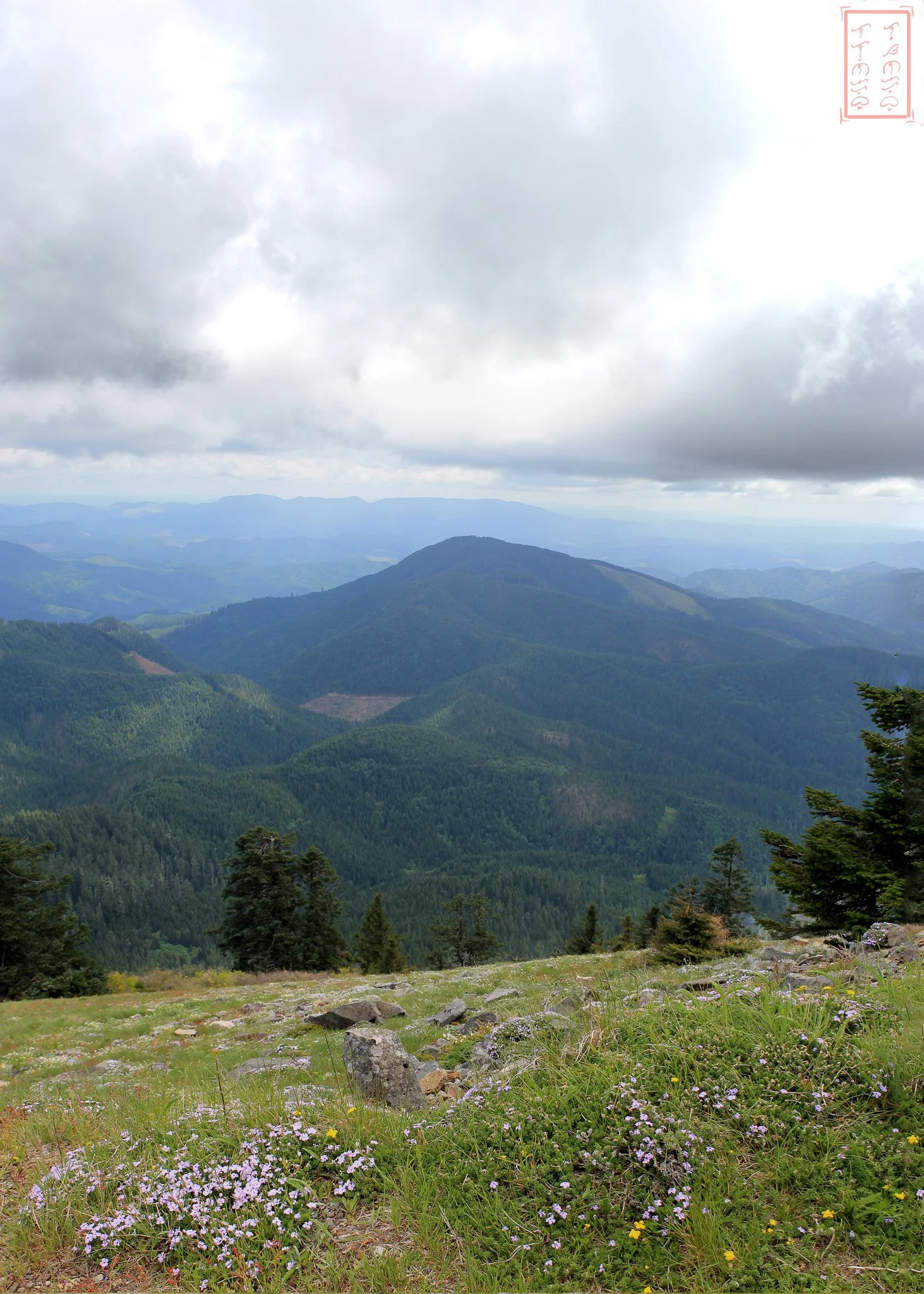 OR: Mary's Peak