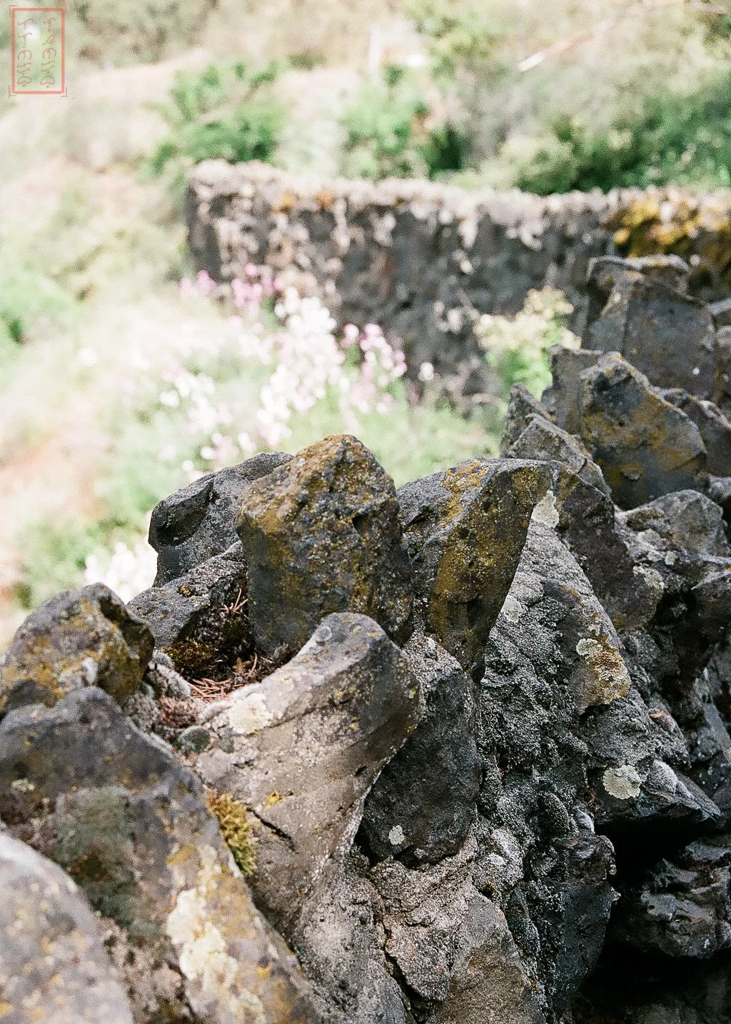 Spokane_5x7-3.jpg