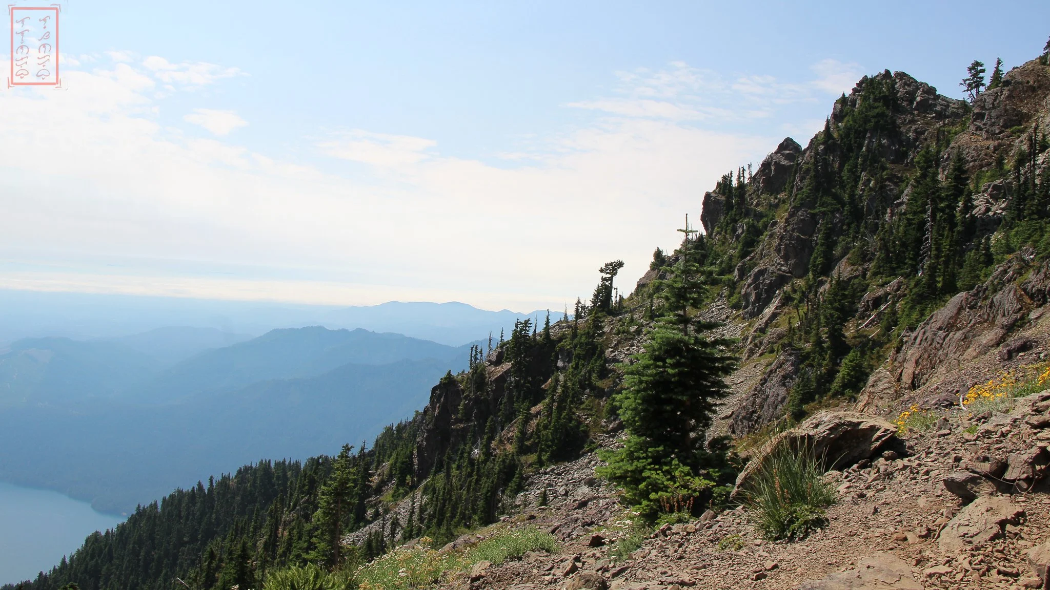 WA: Mount Ellinor