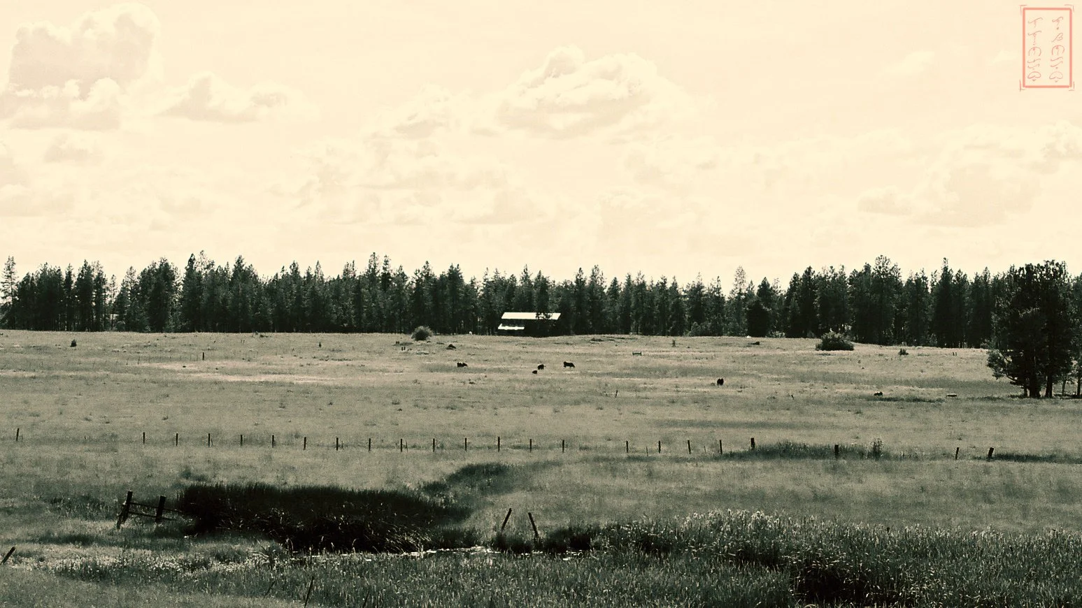 WA: US Route 195