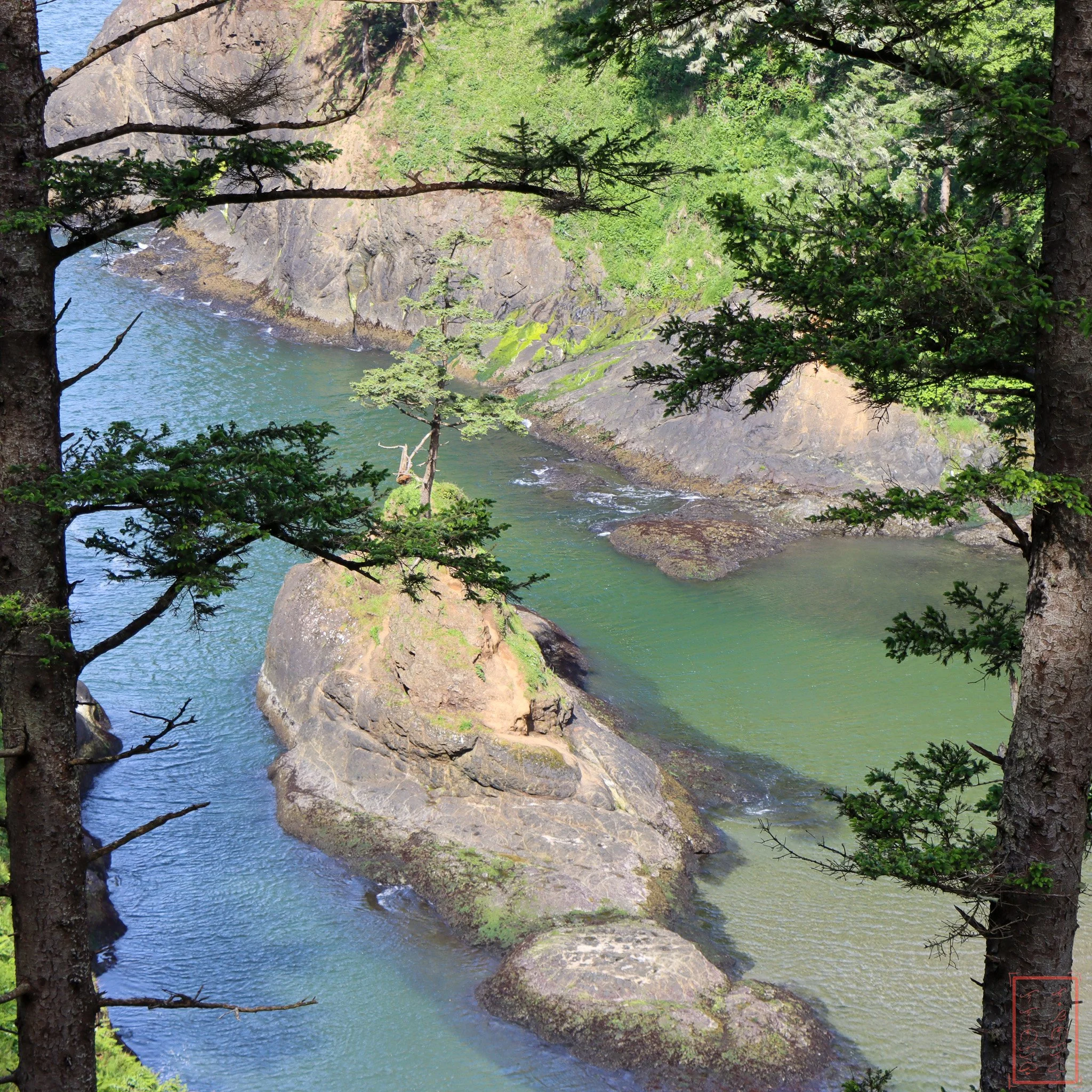 WA: Cape Disappointment