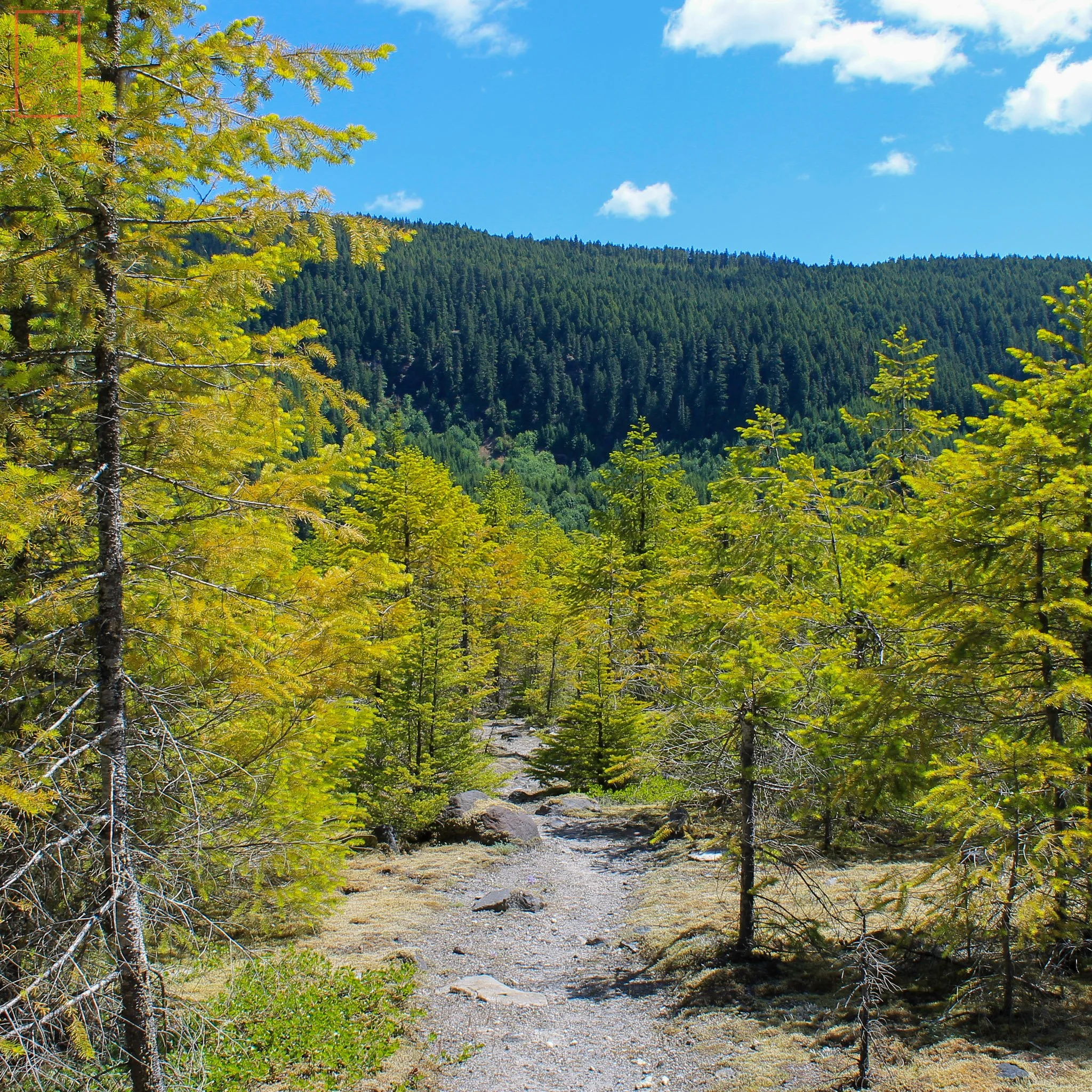 WA: Lava Canyon