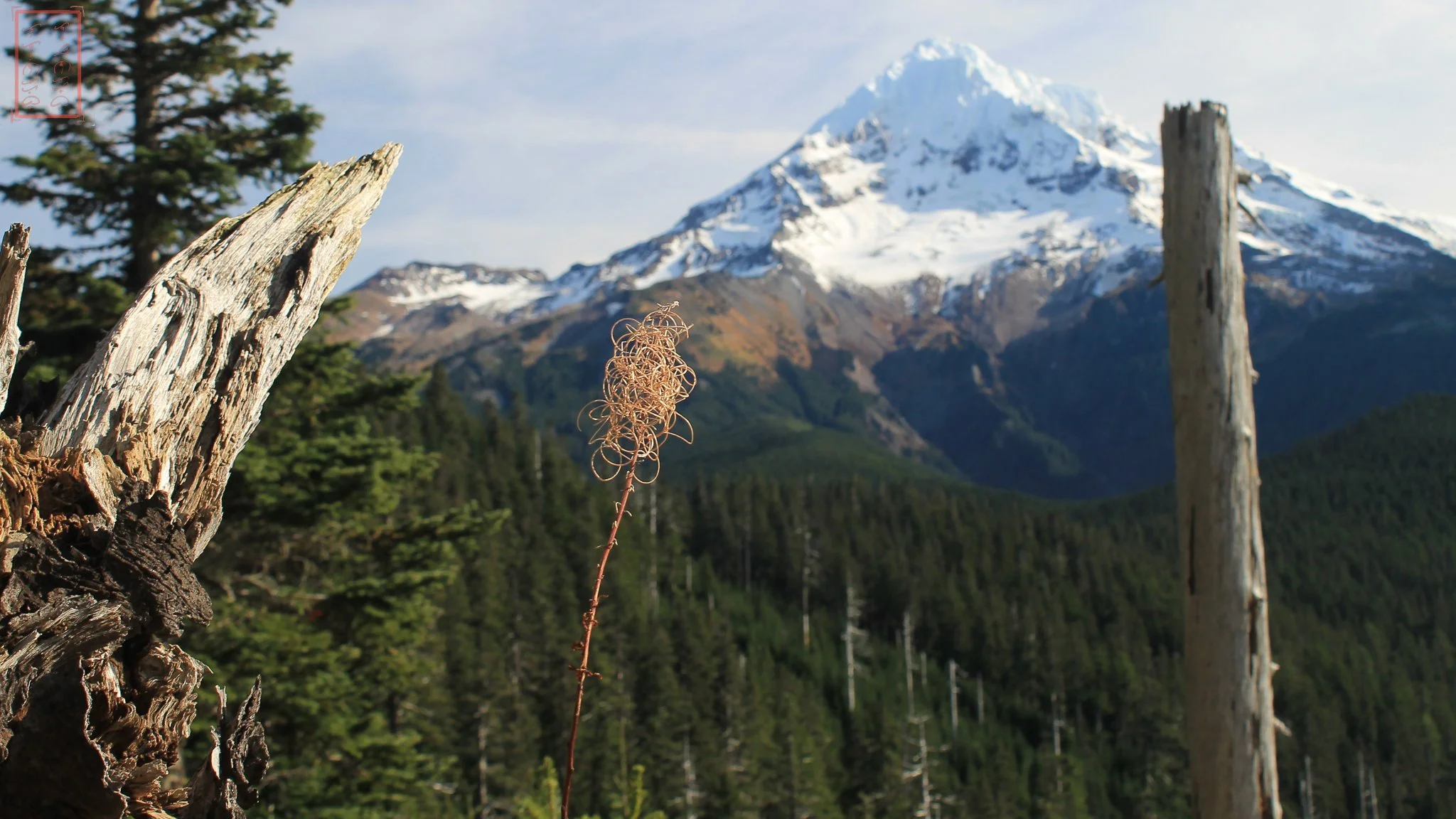 OR: Pacific Crest Trail 200