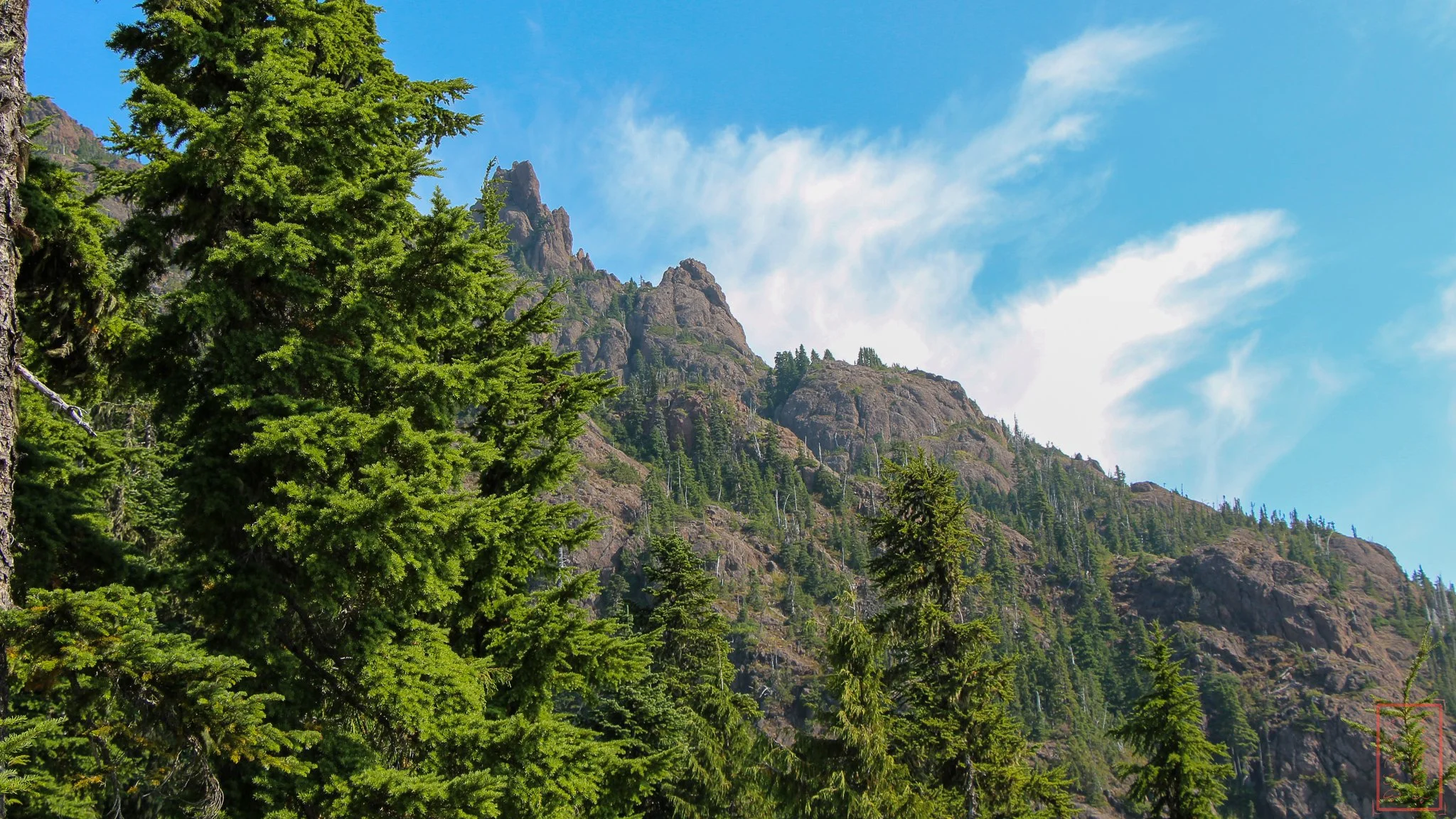 WA: Mount Ellinor
