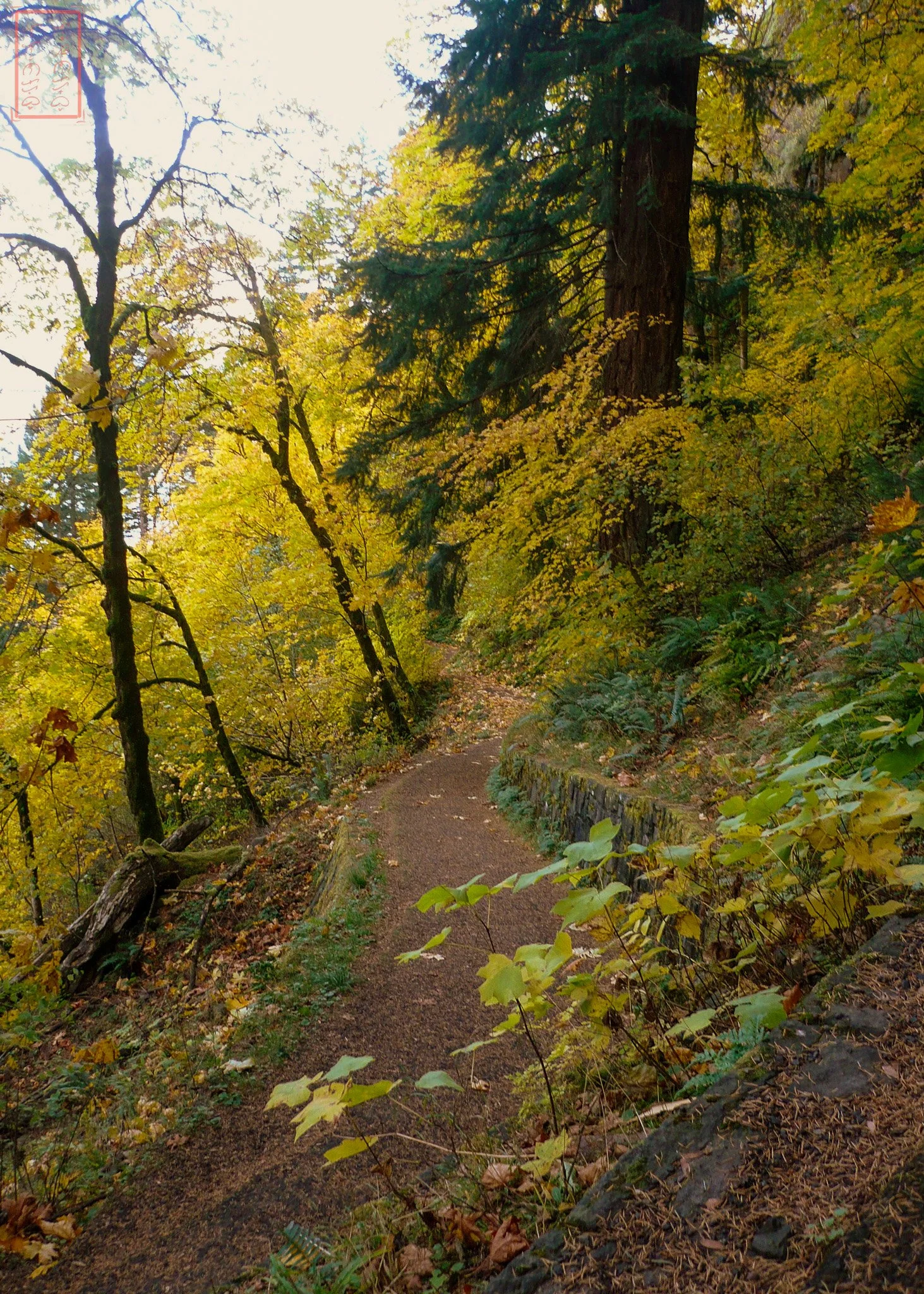 OR: Wahkeena Falls to Multnomah Falls