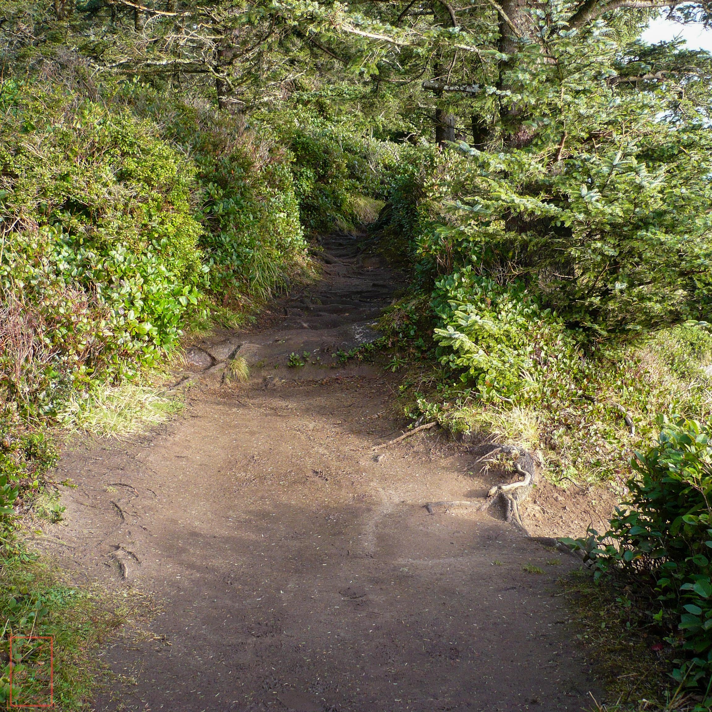 OR: Cape Lookout