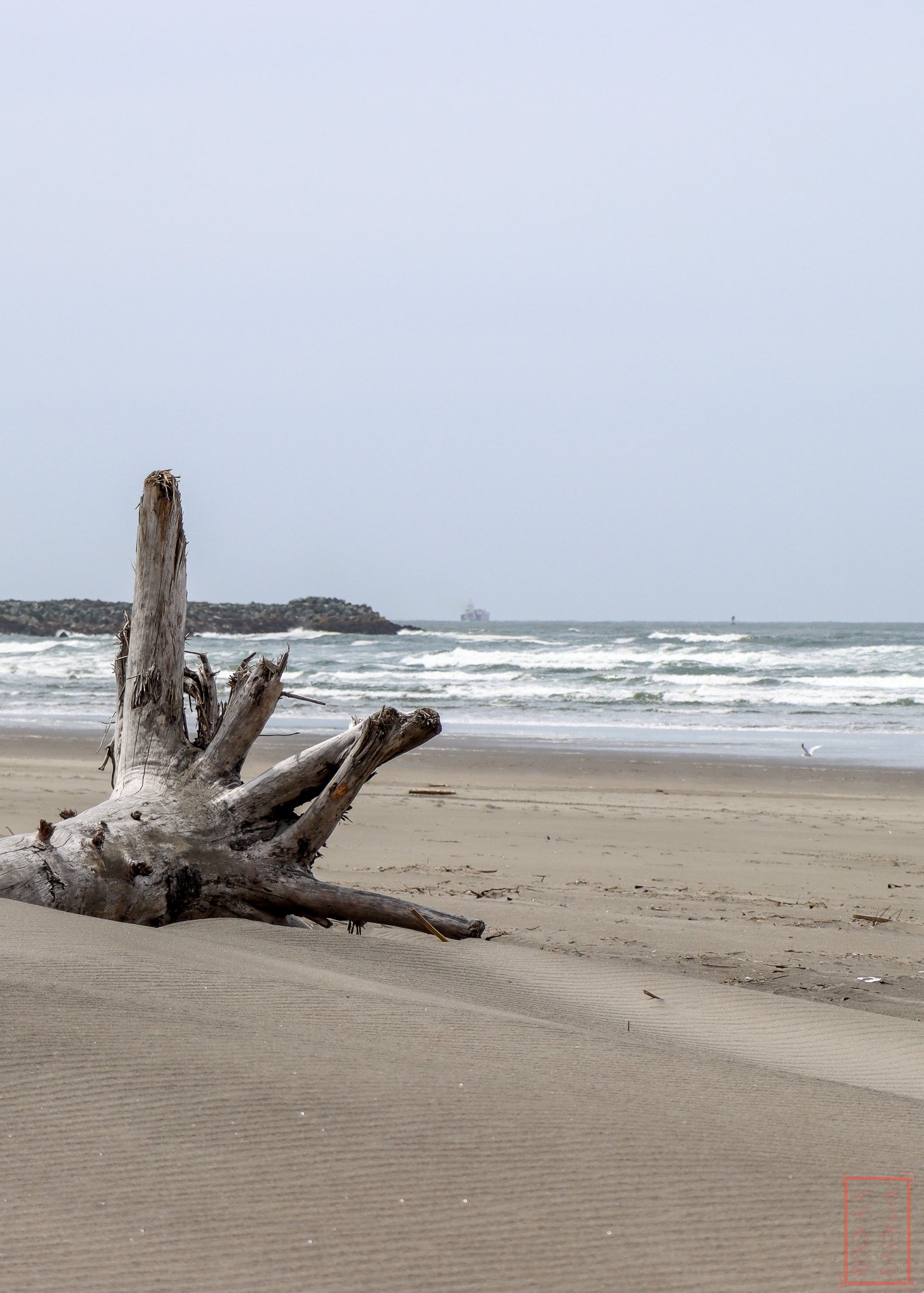 WA: Cape Disappointment