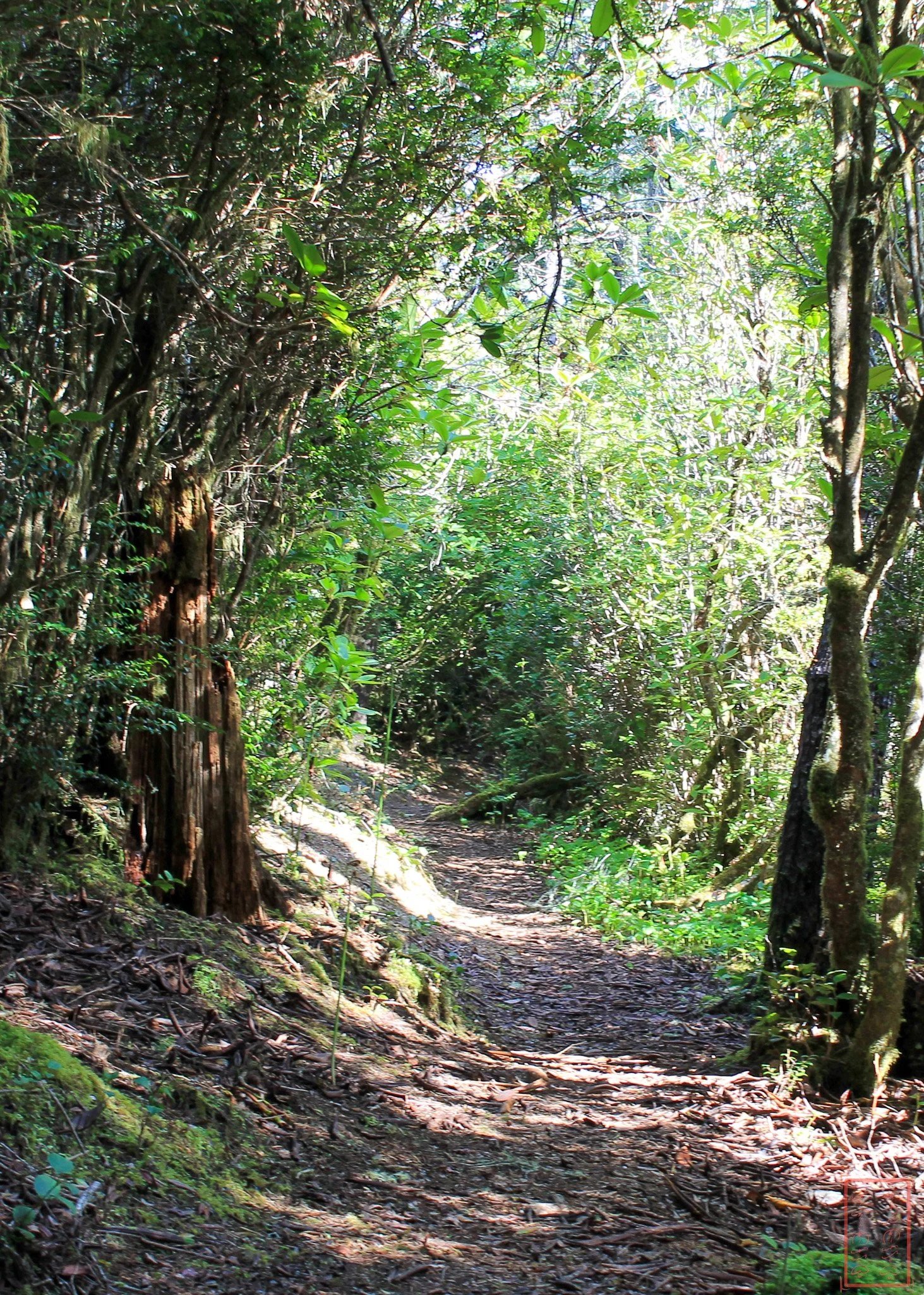 OR: Sutton Creek