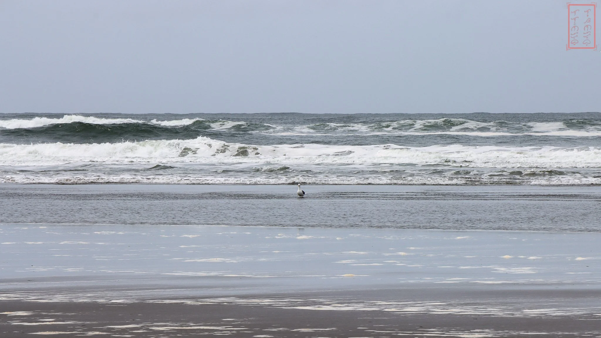 WA: Cape Disappointment