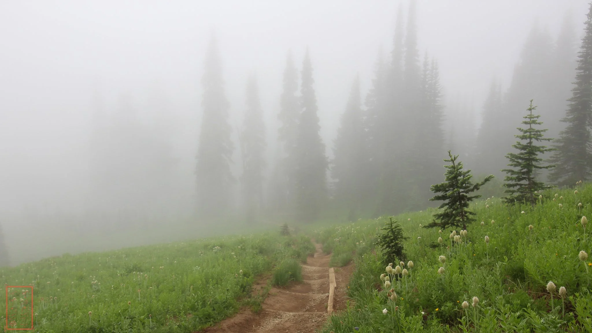 WA: Naches Peak Loop