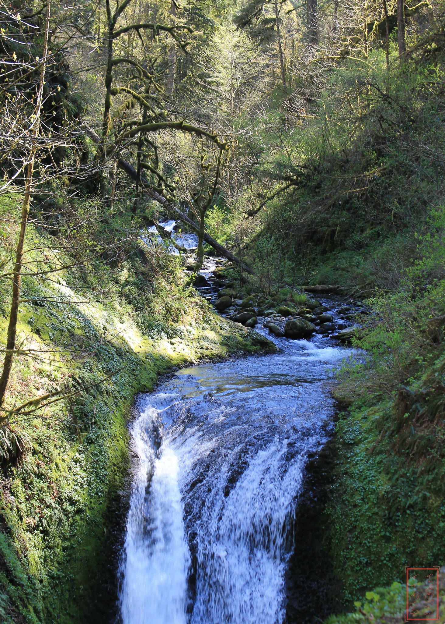 OR: Oneonta Gorge