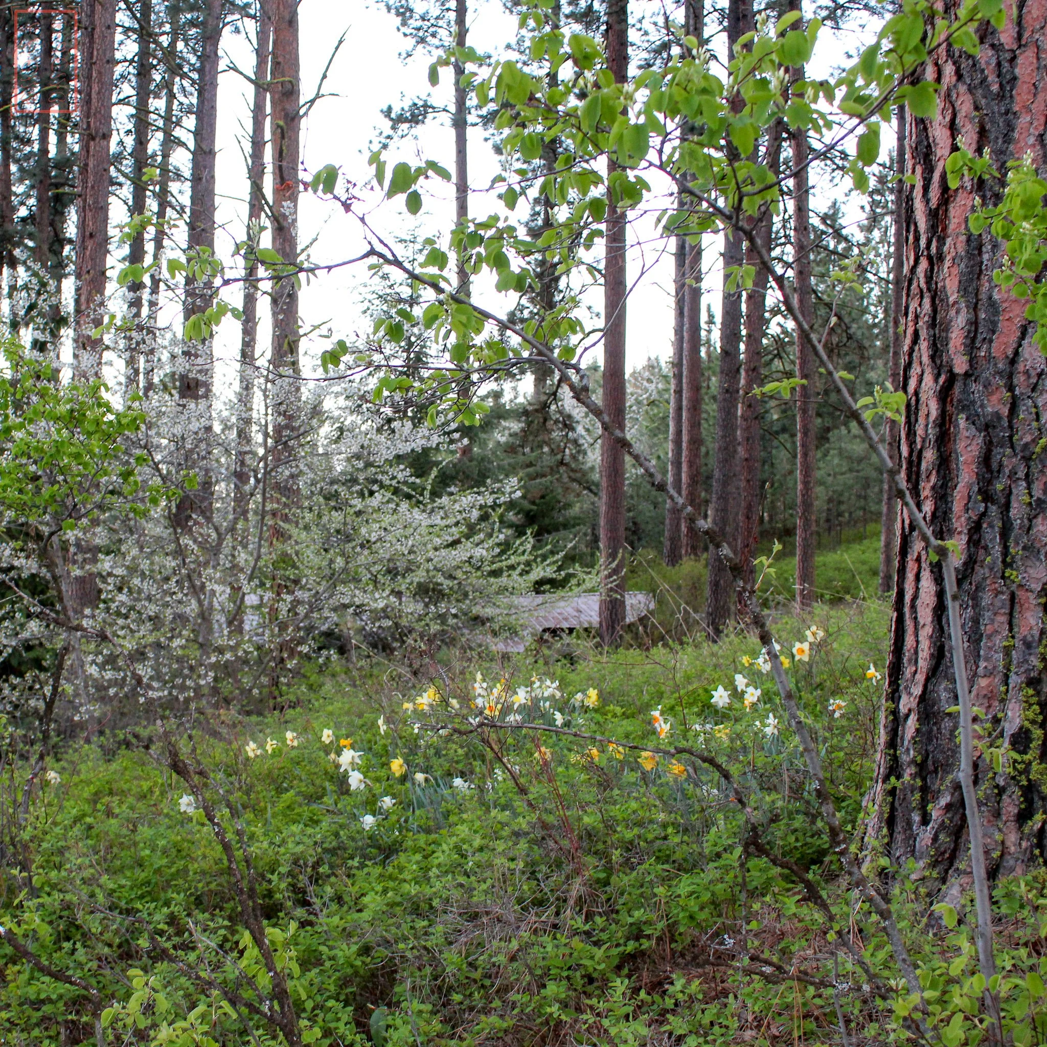 STGERTRUDES_1X1-1-3.jpg