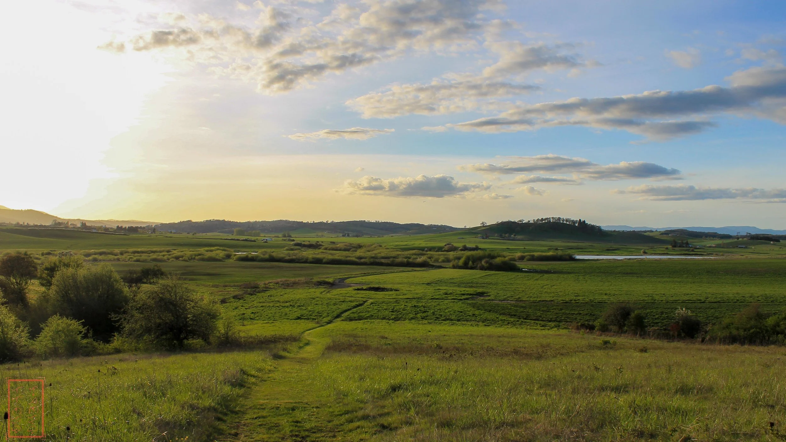 OR: Baskett Slough