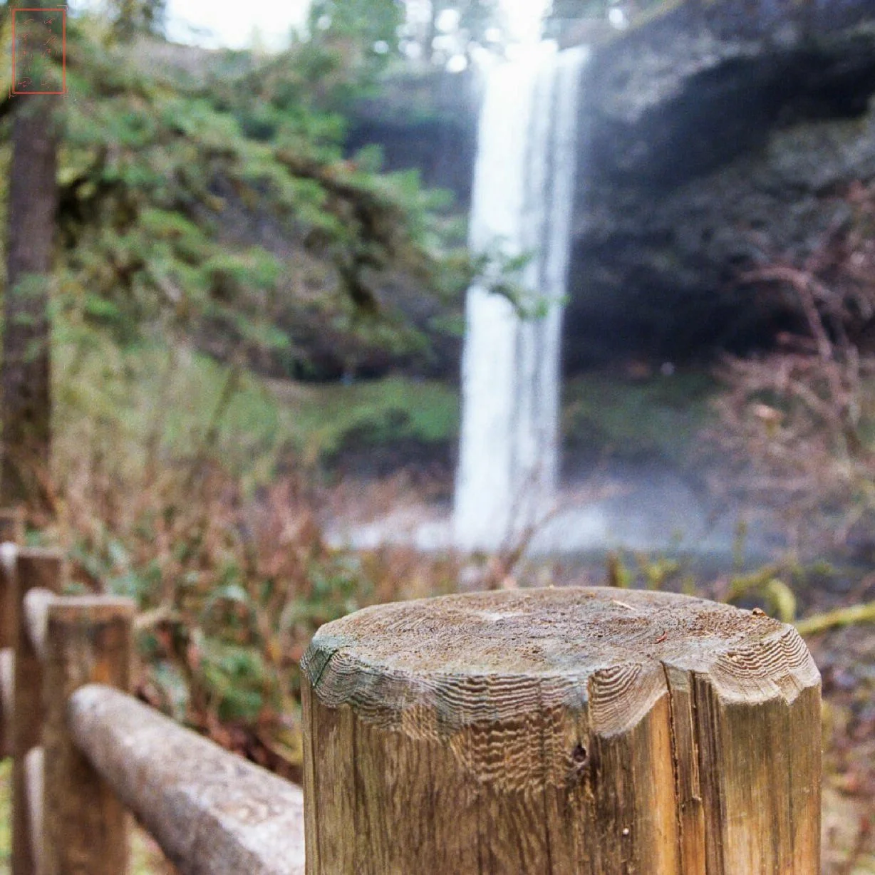 OR: Silver Falls