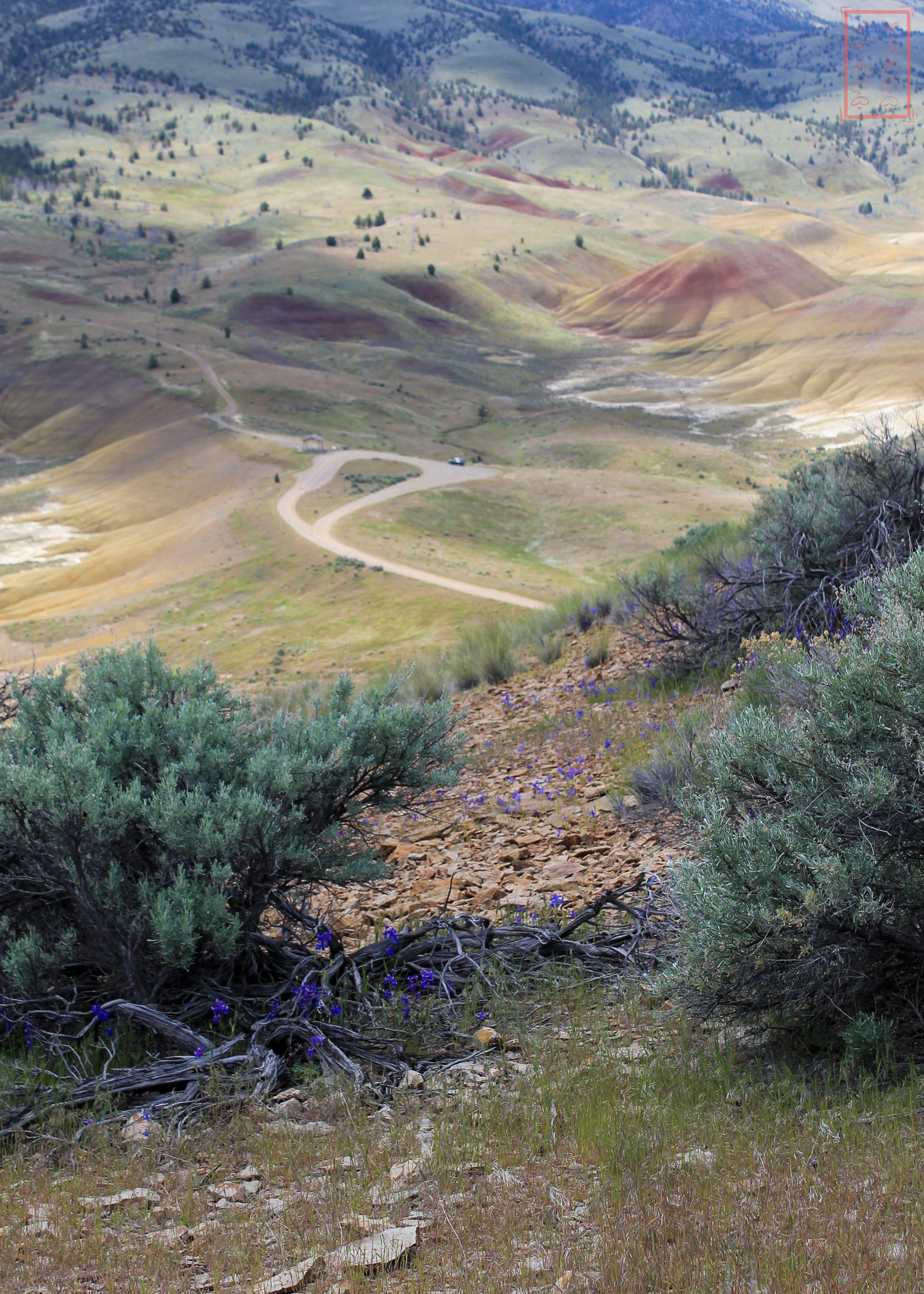 OR: Painted Hills