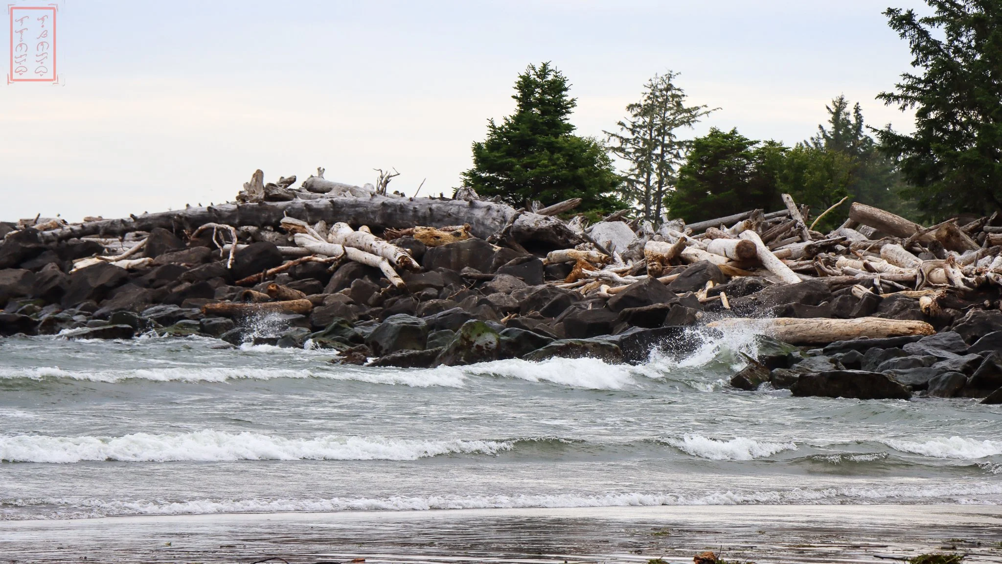 WA: Cape Disappointment