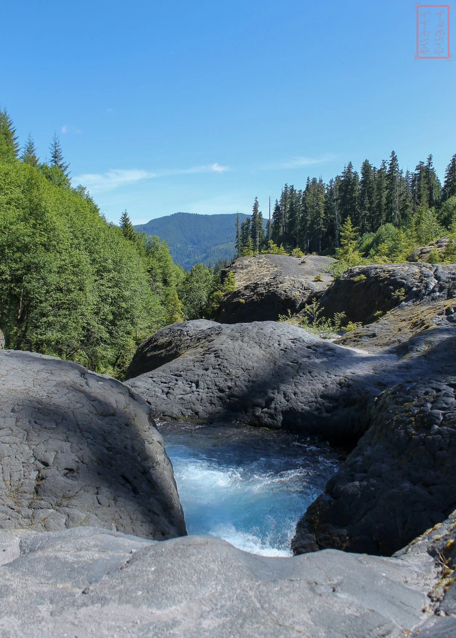 WA: Lava Canyon
