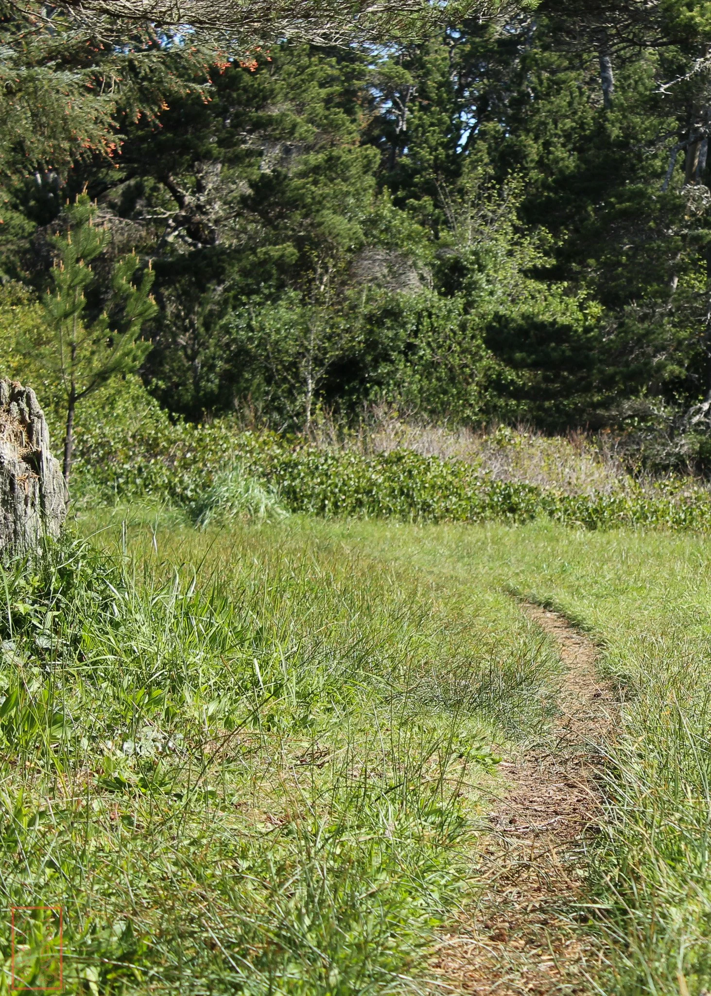 OR: Sutton Creek